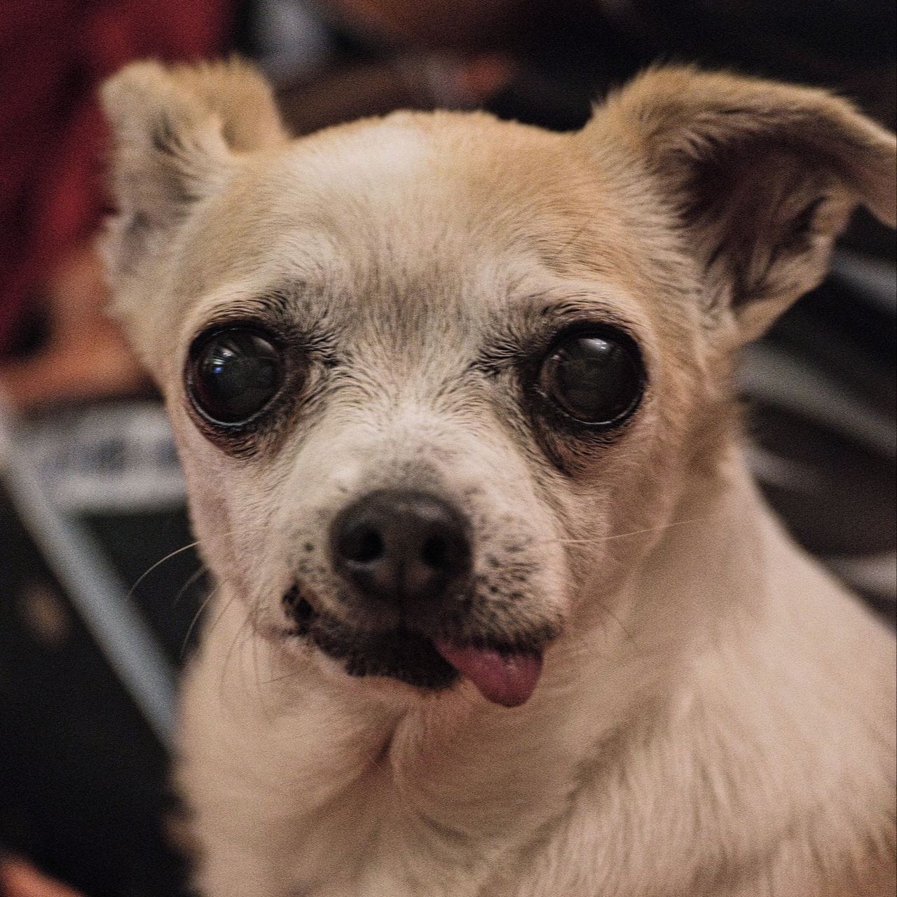 Soutěžní fotografie - Tesinka,  Ostatní