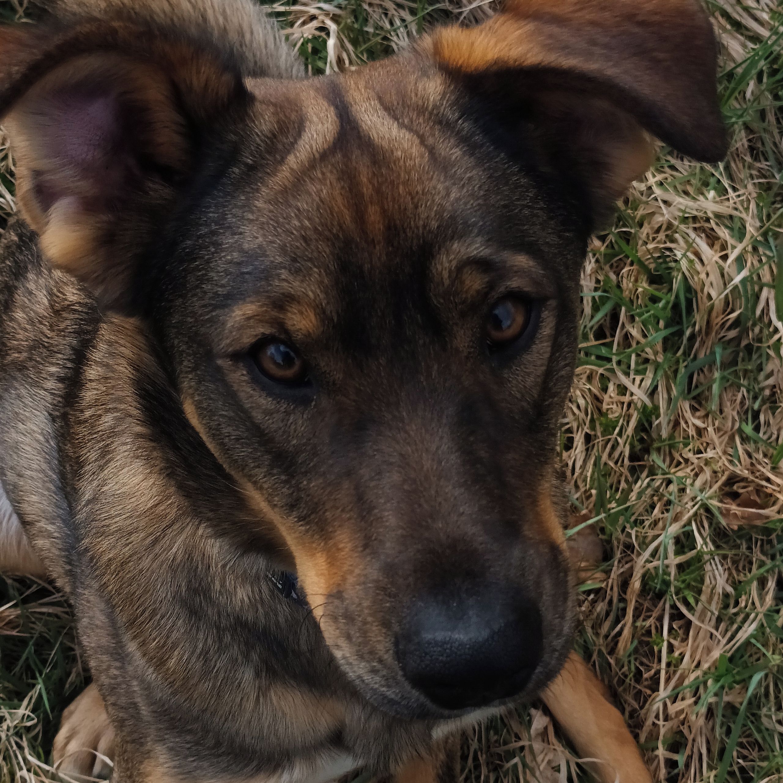 Soutěžní fotografie - Theodor,  Ostatní