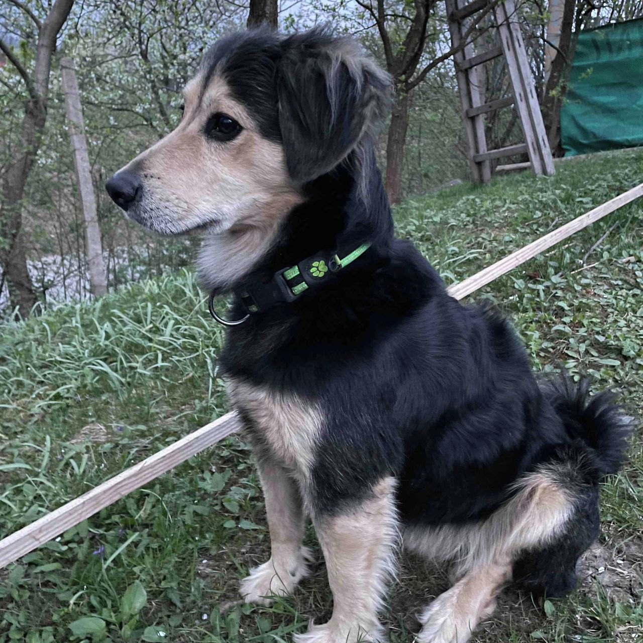 Soutěžní fotografie - Kazan,  Ostatní