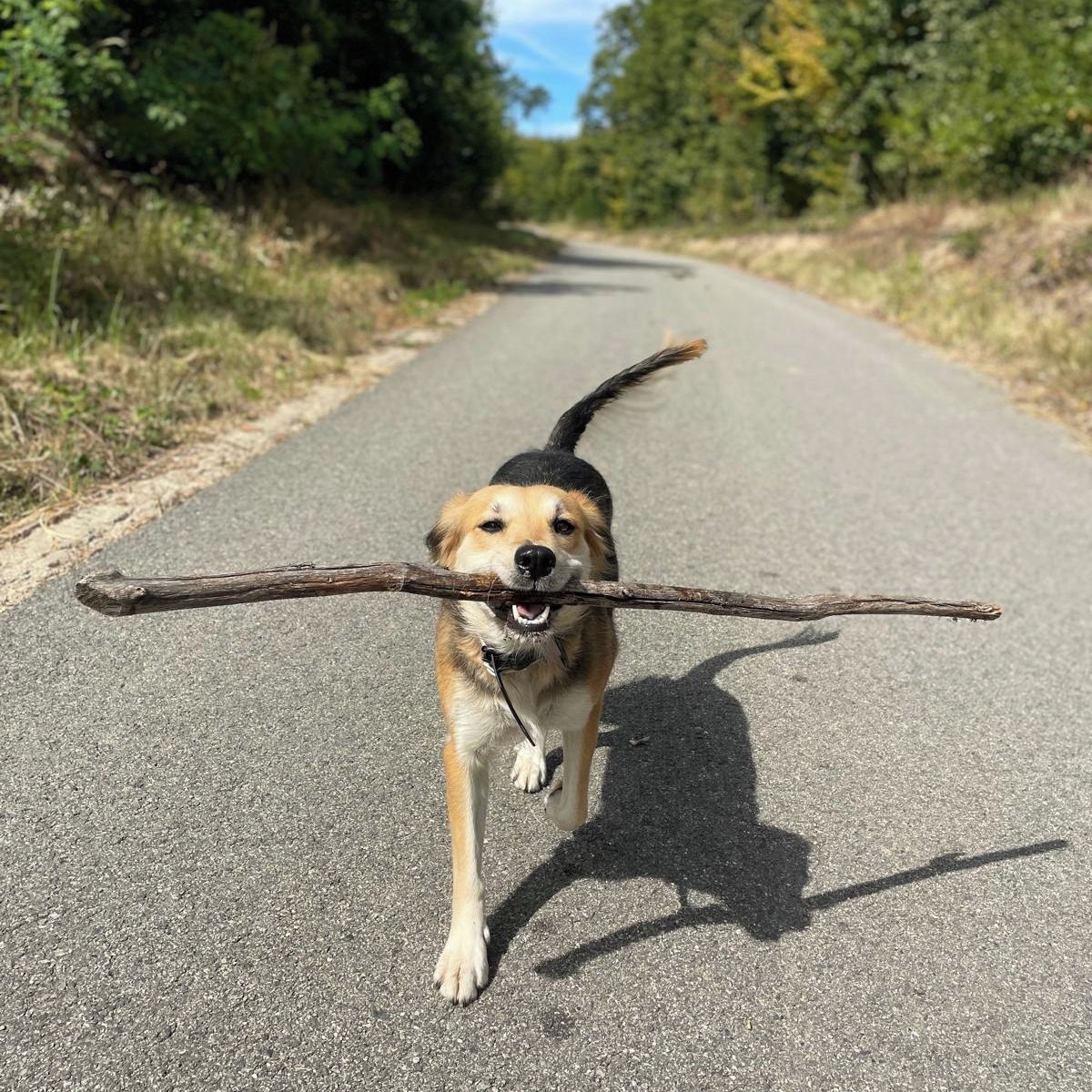 Soutěžní fotografie - Tara,  Ostatní