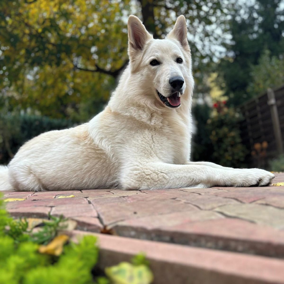 Soutěžní fotografie - Don Bastien,  Ostatní