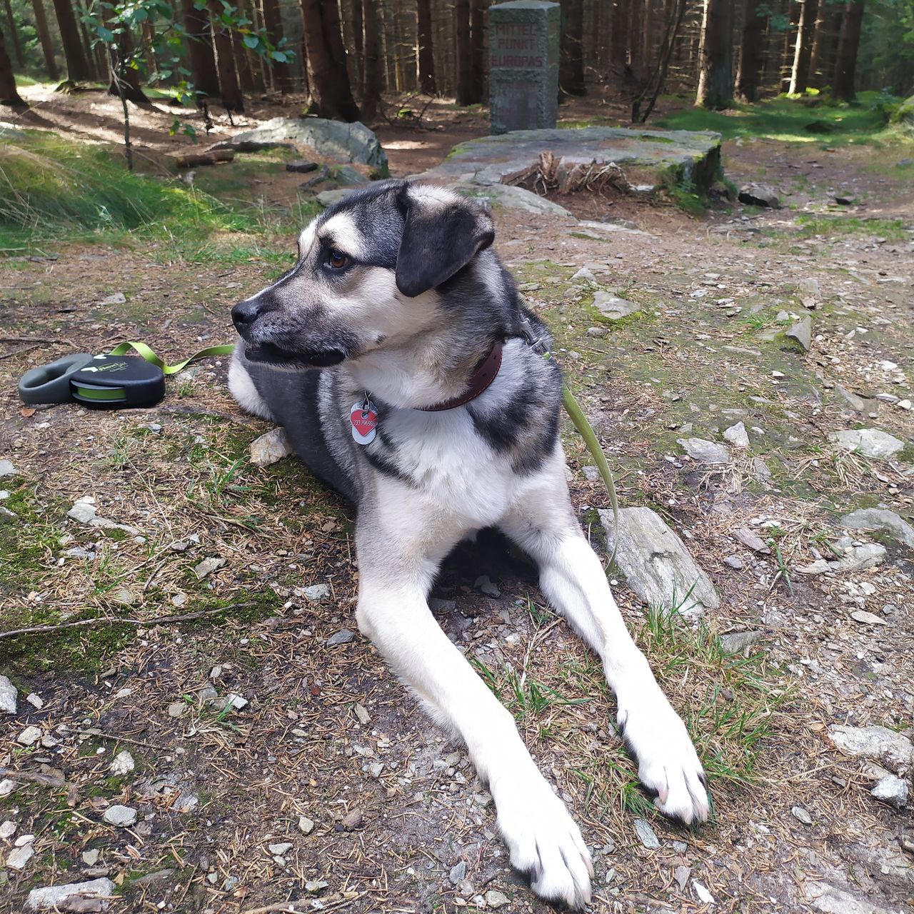 Soutěžní fotografie - Eda,  Ostatní