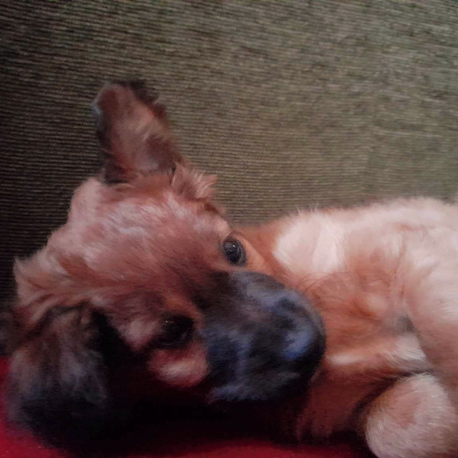 Soutěžní fotografie - KAŠTÁNEK,  Ostatní