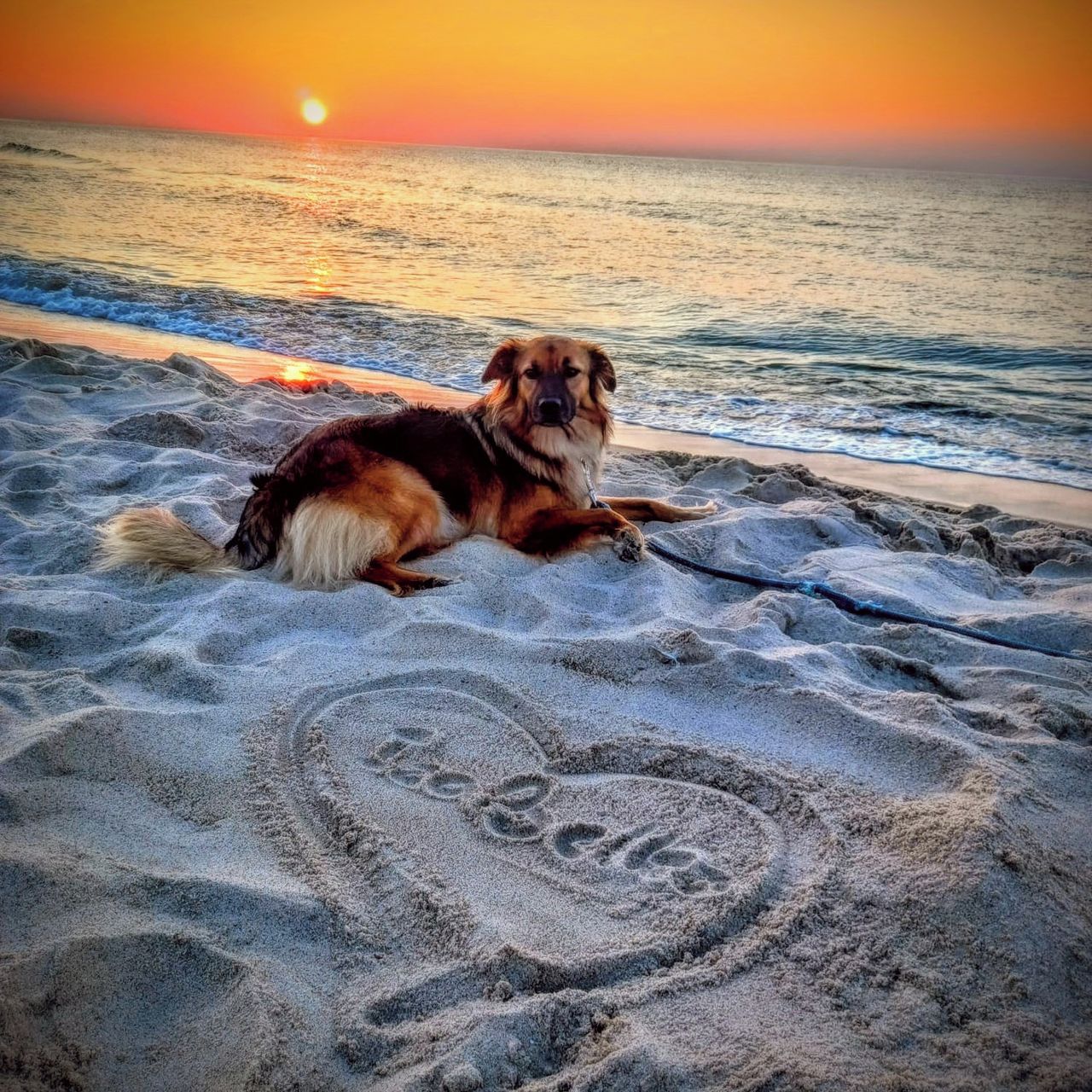 Soutěžní fotografie - Izabela,  Ostatní