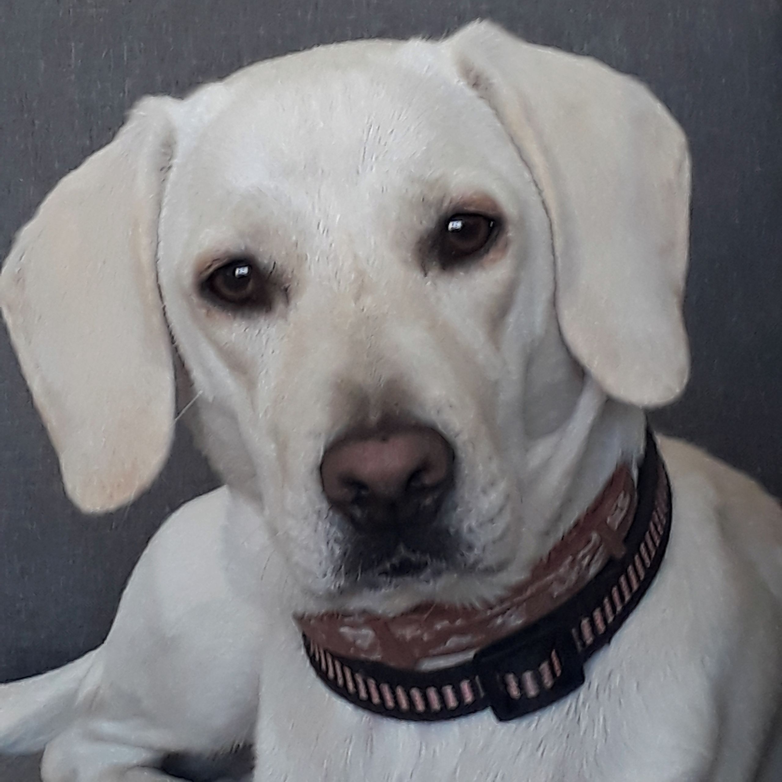 Soutěžní fotografie - Mia,  Ostatní