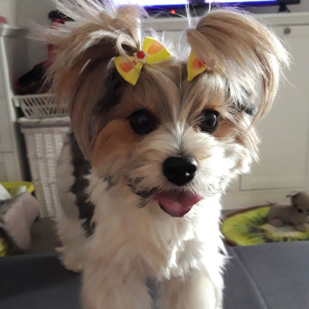 Soutěžní fotografie - Barunka,  Ostatní