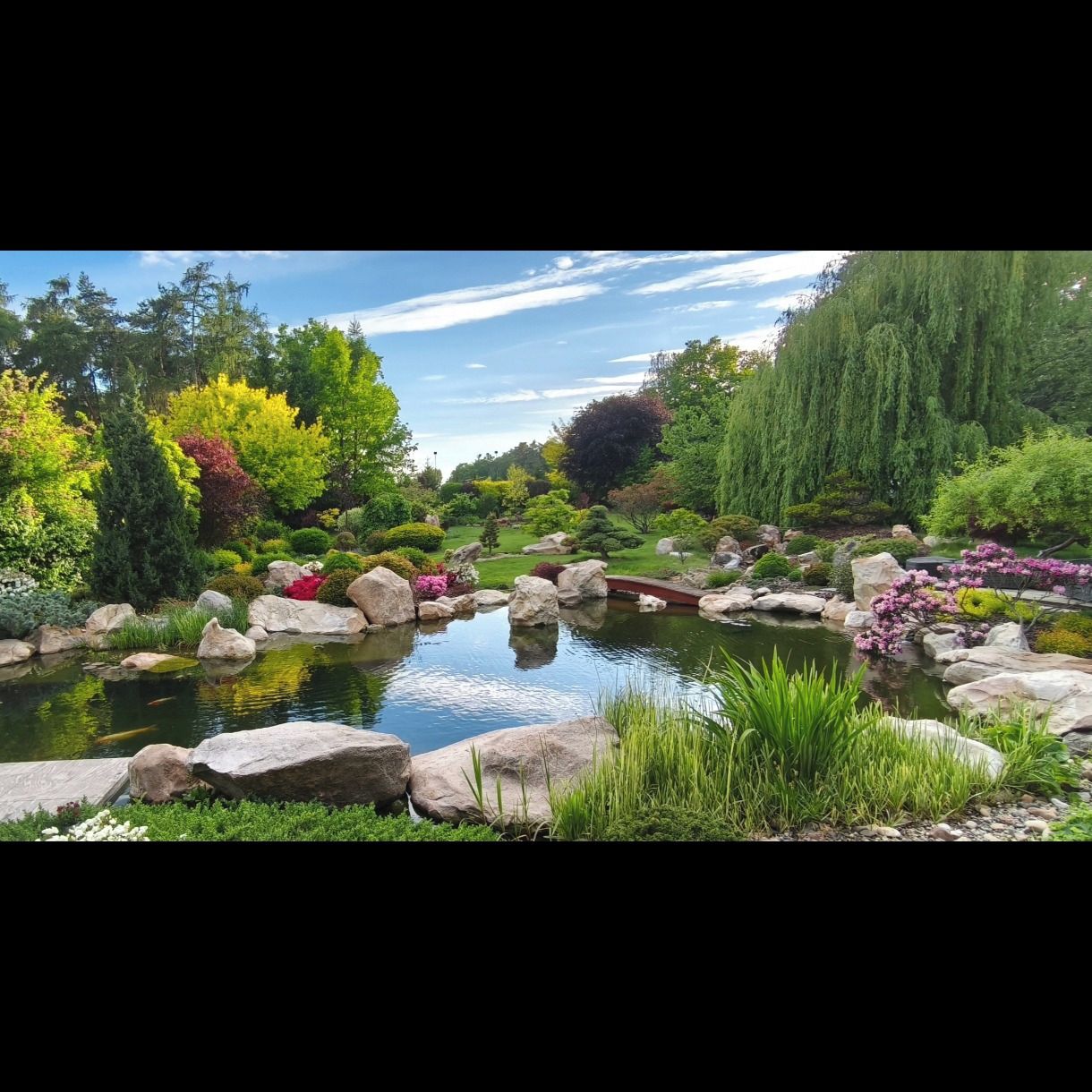 Soutěžní fotografie - Náš vodní relax v rozkvětu,  Středočeský kraj