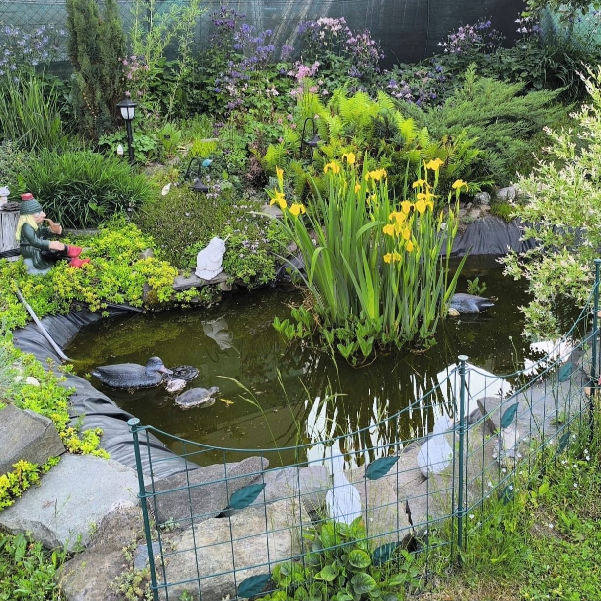 Soutěžní fotografie - Jarní oáza,  Moravskoslezský kraj