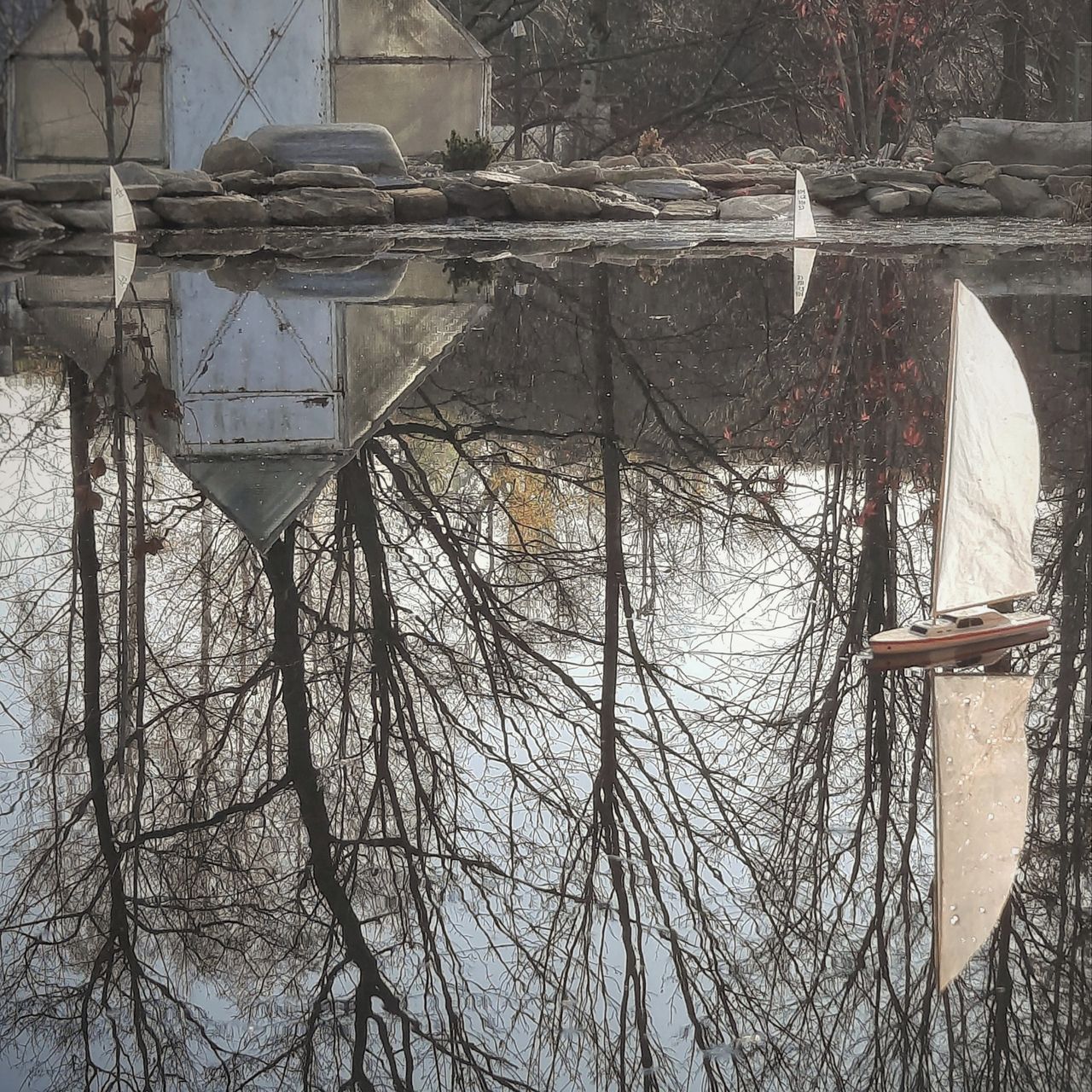 Soutěžní fotografie - Jezírko,  Olomoucký kraj