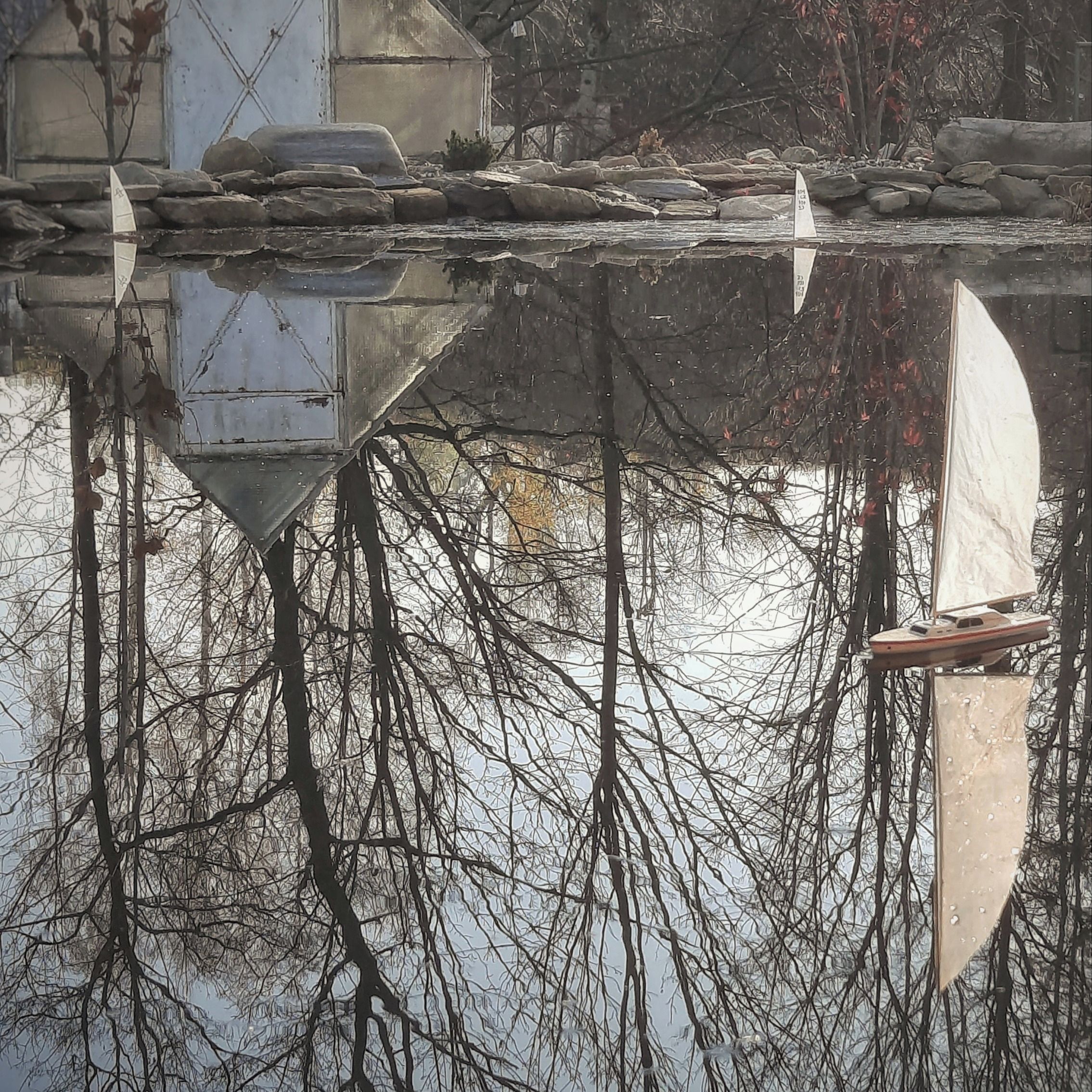 Soutěžní fotografie - Jezírko,  Olomoucký kraj
