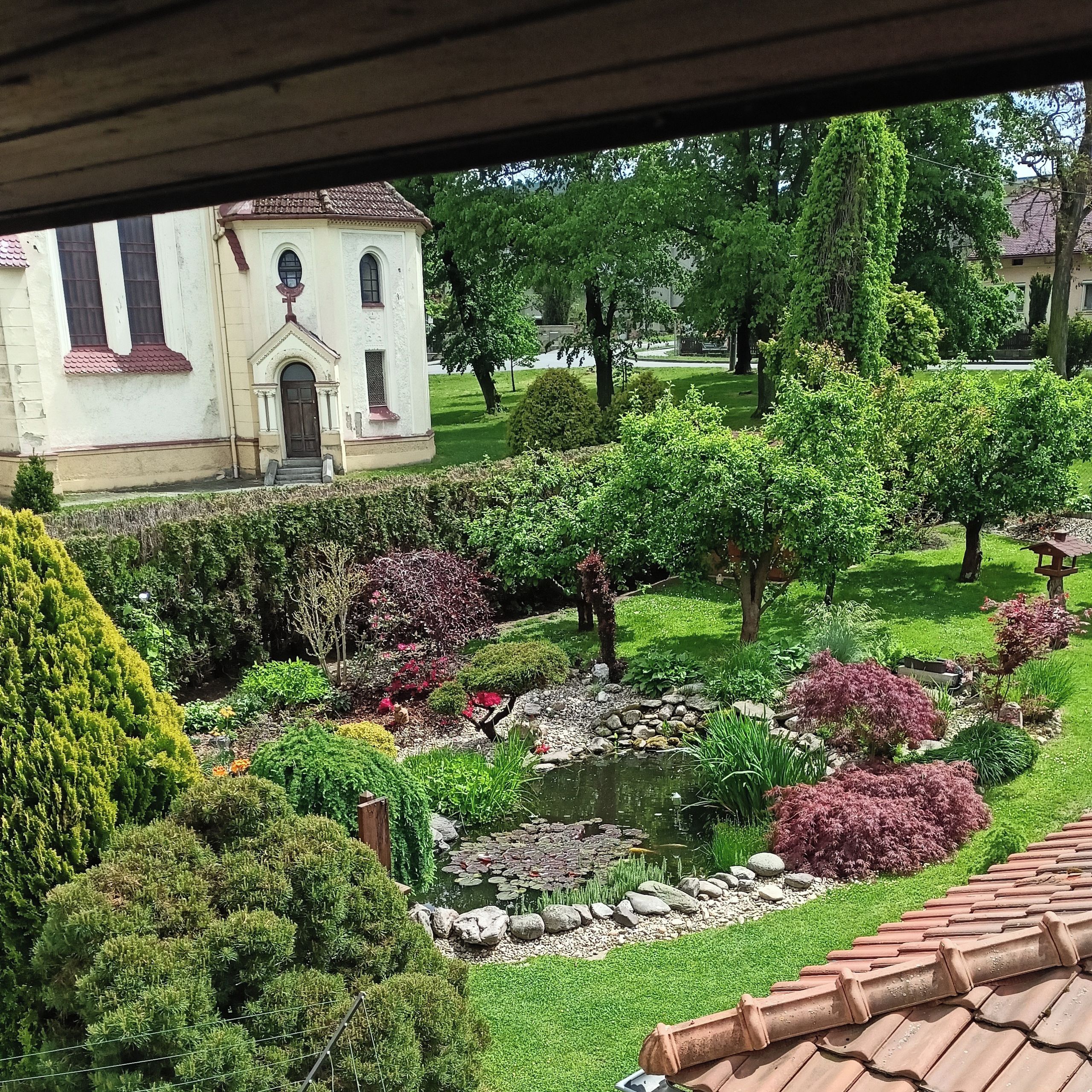 Soutěžní fotografie - Jezírko v Háji,  Moravskoslezský kraj