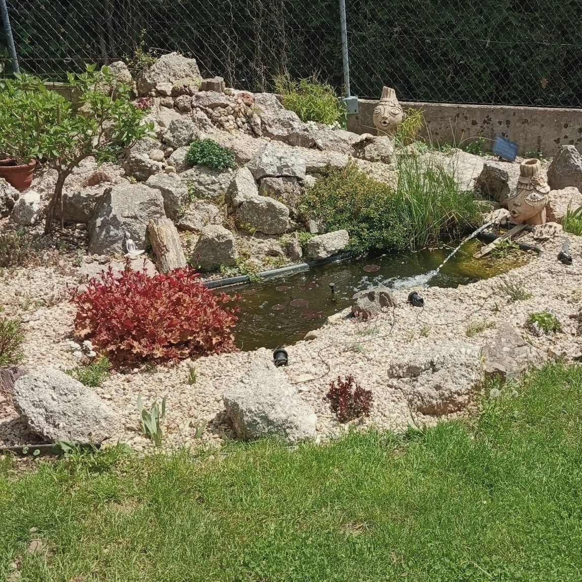 Soutěžní fotografie - Malé,ale naše,  Královéhradecký kraj