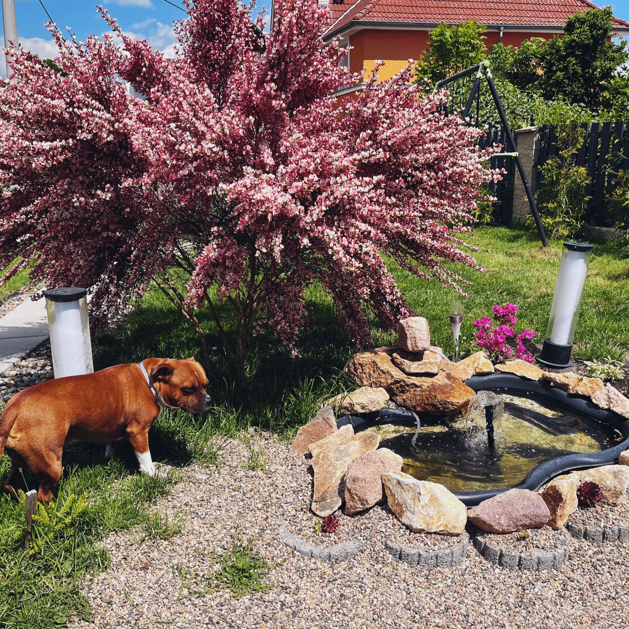 Soutěžní fotografie - Oáza,  Ústecký kraj