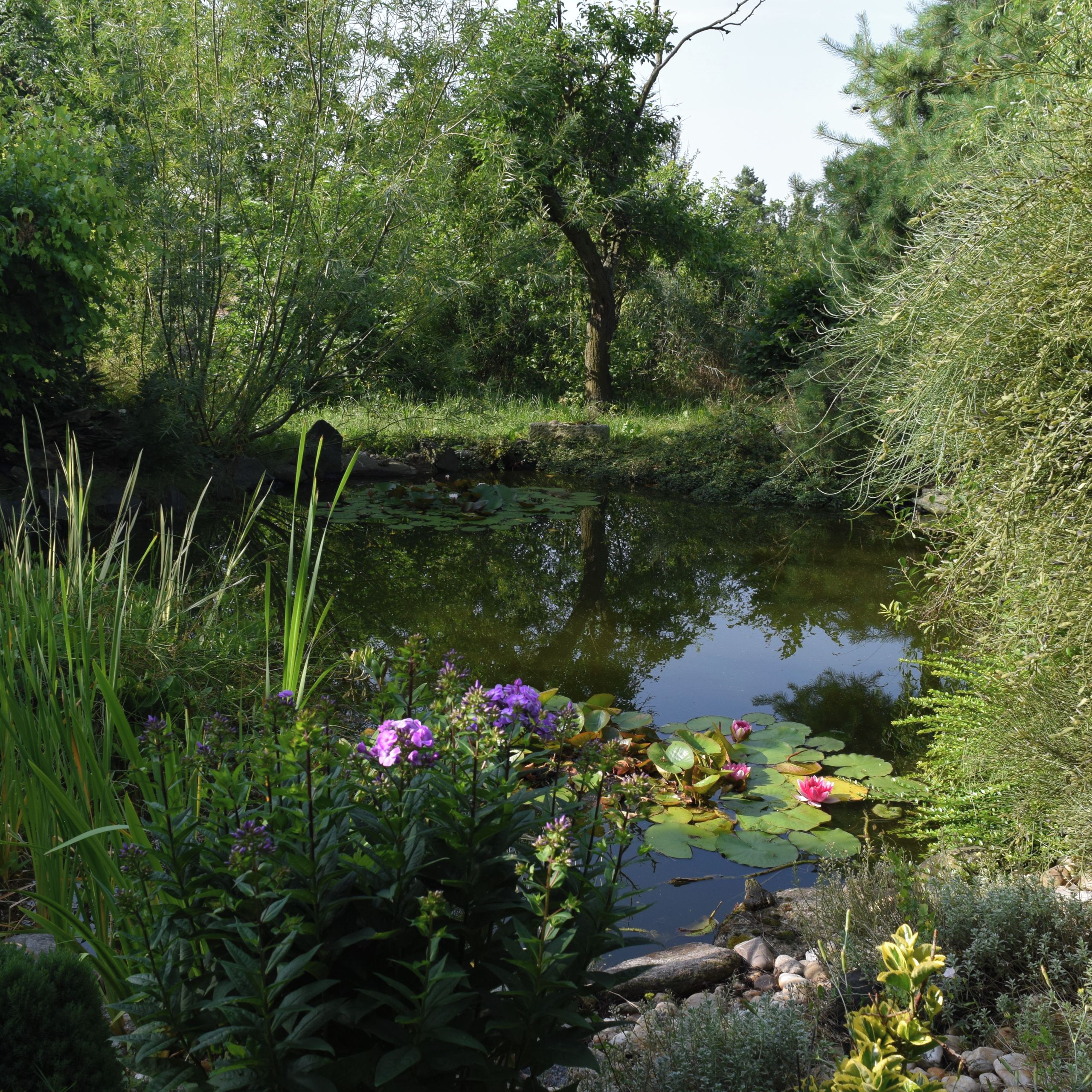 Soutěžní fotografie - Tady relaxuji., Královéhradecký kraj