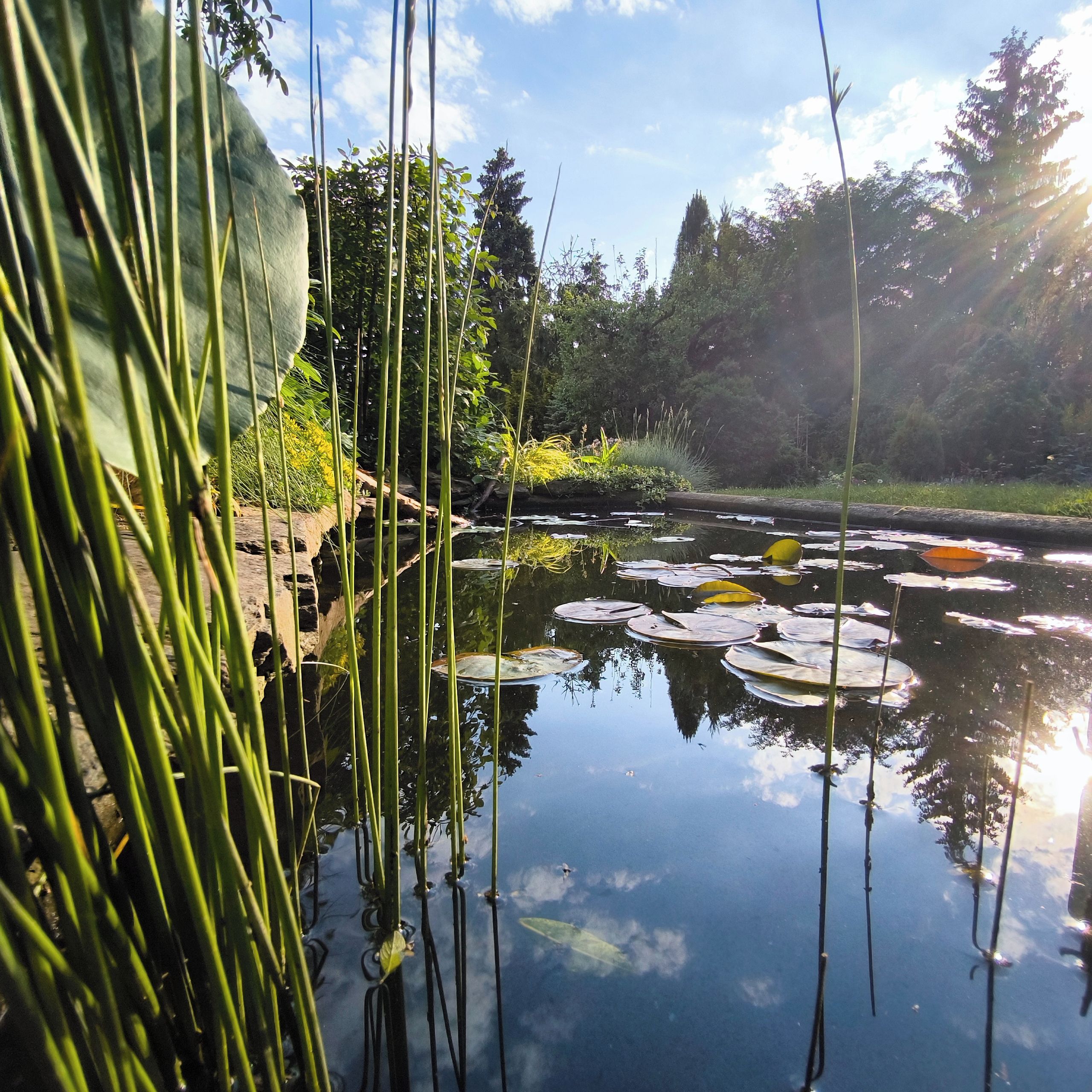 Soutěžní fotografie - Západ slunce nad jezírkem,  Jihomoravský kraj