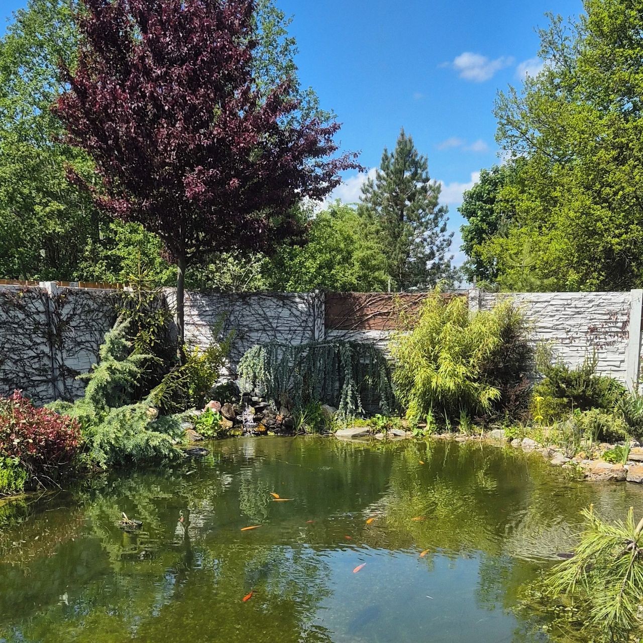 Soutěžní fotografie - Největší relax,  Pardubický kraj