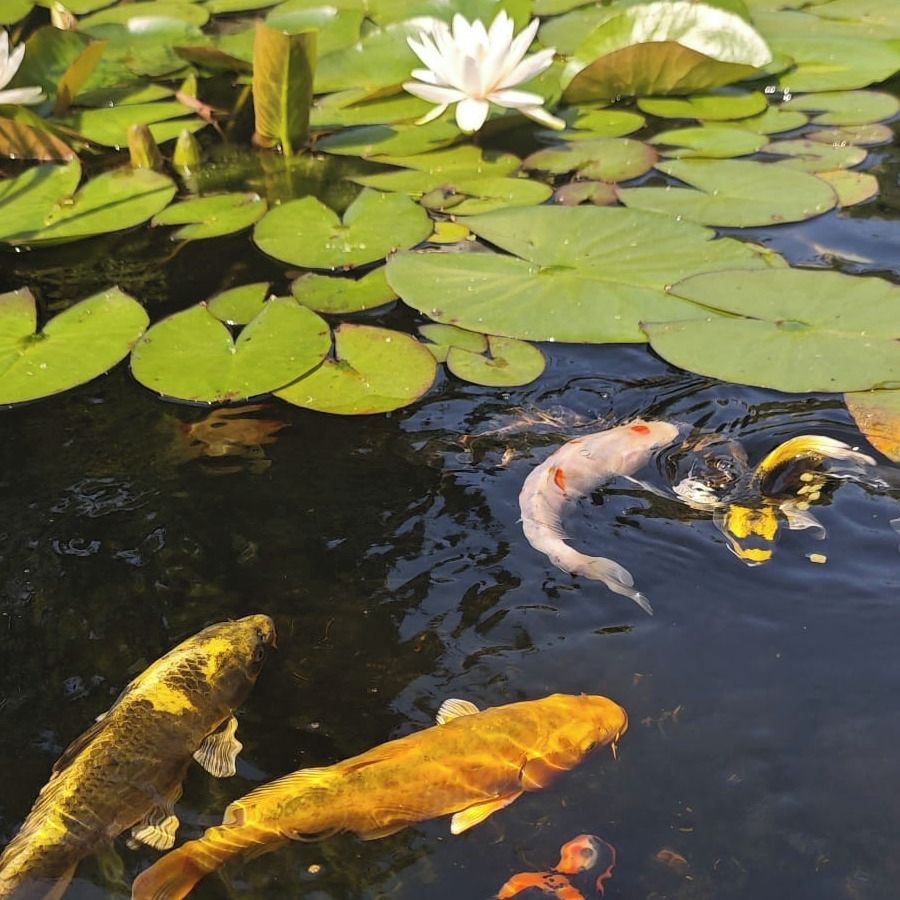 Soutěžní fotografie - Náš relax,  Moravskoslezský kraj