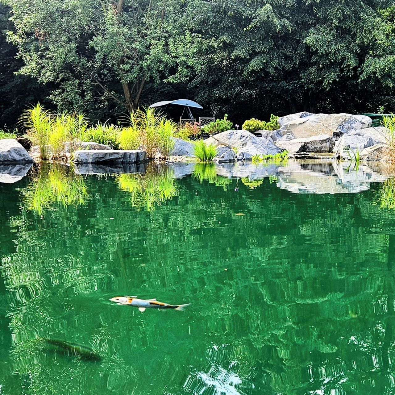 Soutěžní fotografie - Dokonalý relax,  Moravskoslezský kraj