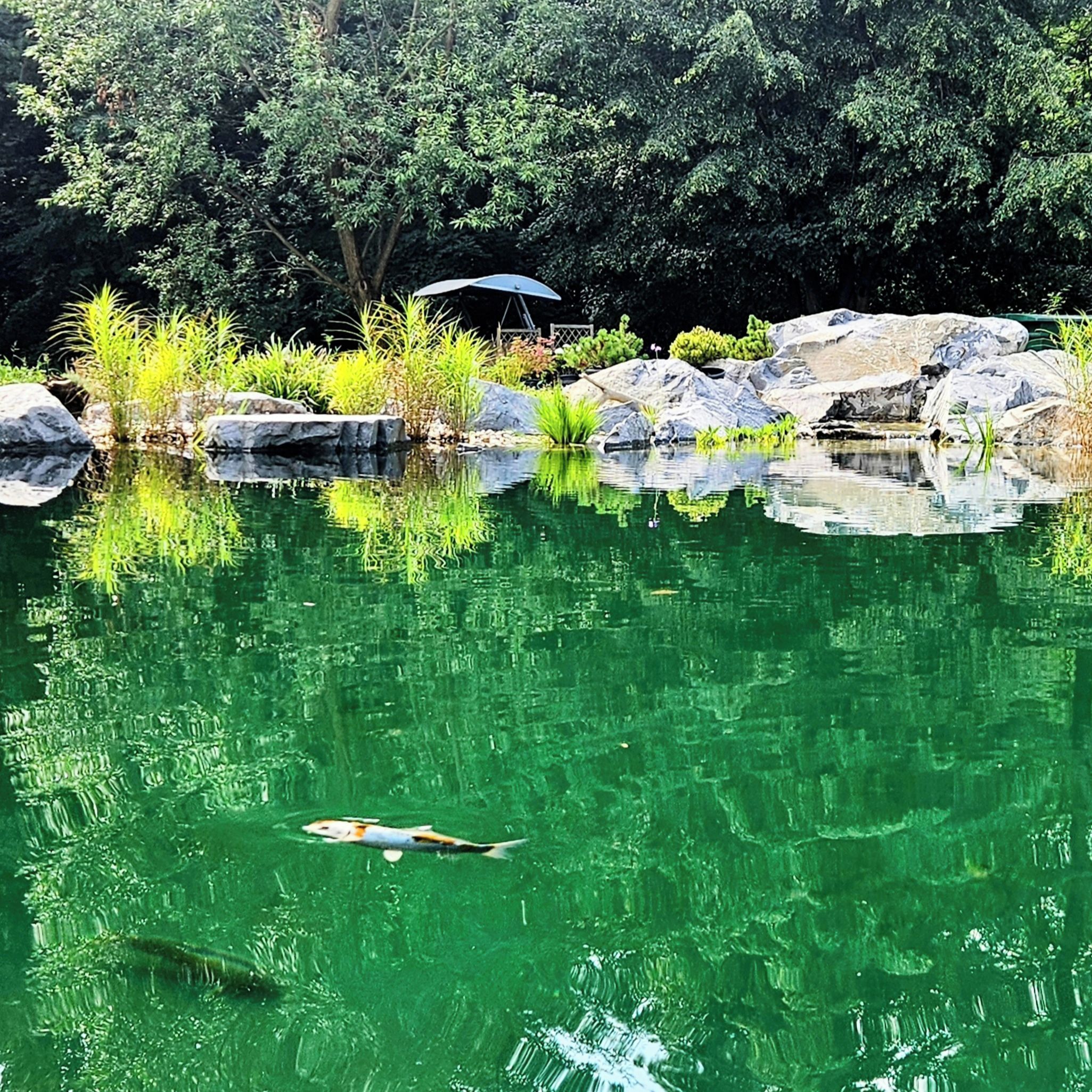 Soutěžní fotografie - Dokonalý relax,  Moravskoslezský kraj