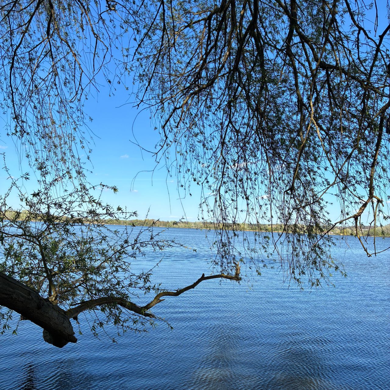 Soutěžní fotografie - Jarohněvický rybník,  Dubňany