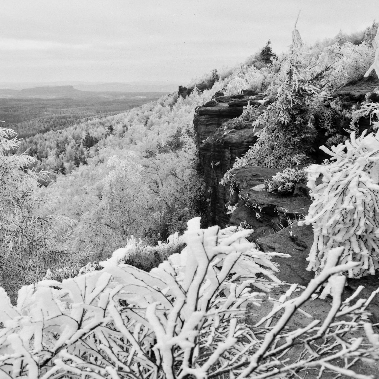 Soutěžní fotografie - Drážďanská vyhlídka - Děčínský Sněžník,  Drážďanská vyhlídka - Děčínský Sněžník
