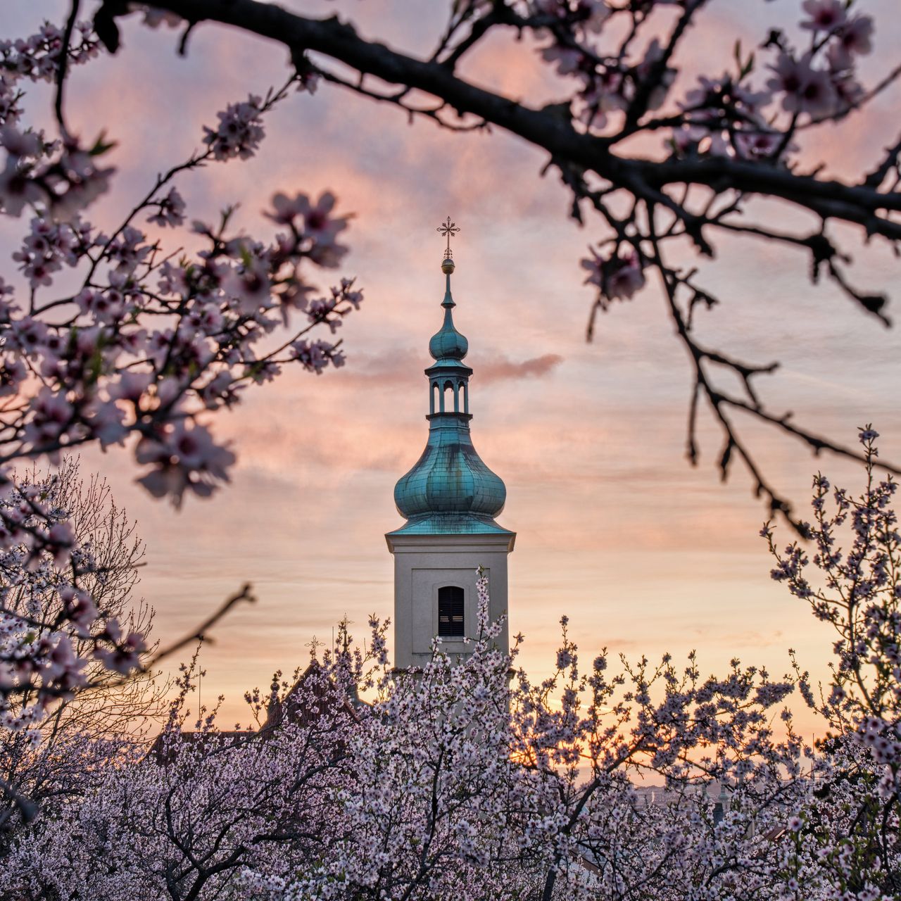 Soutěžní fotografie - Jaro na Petříně,  Praha