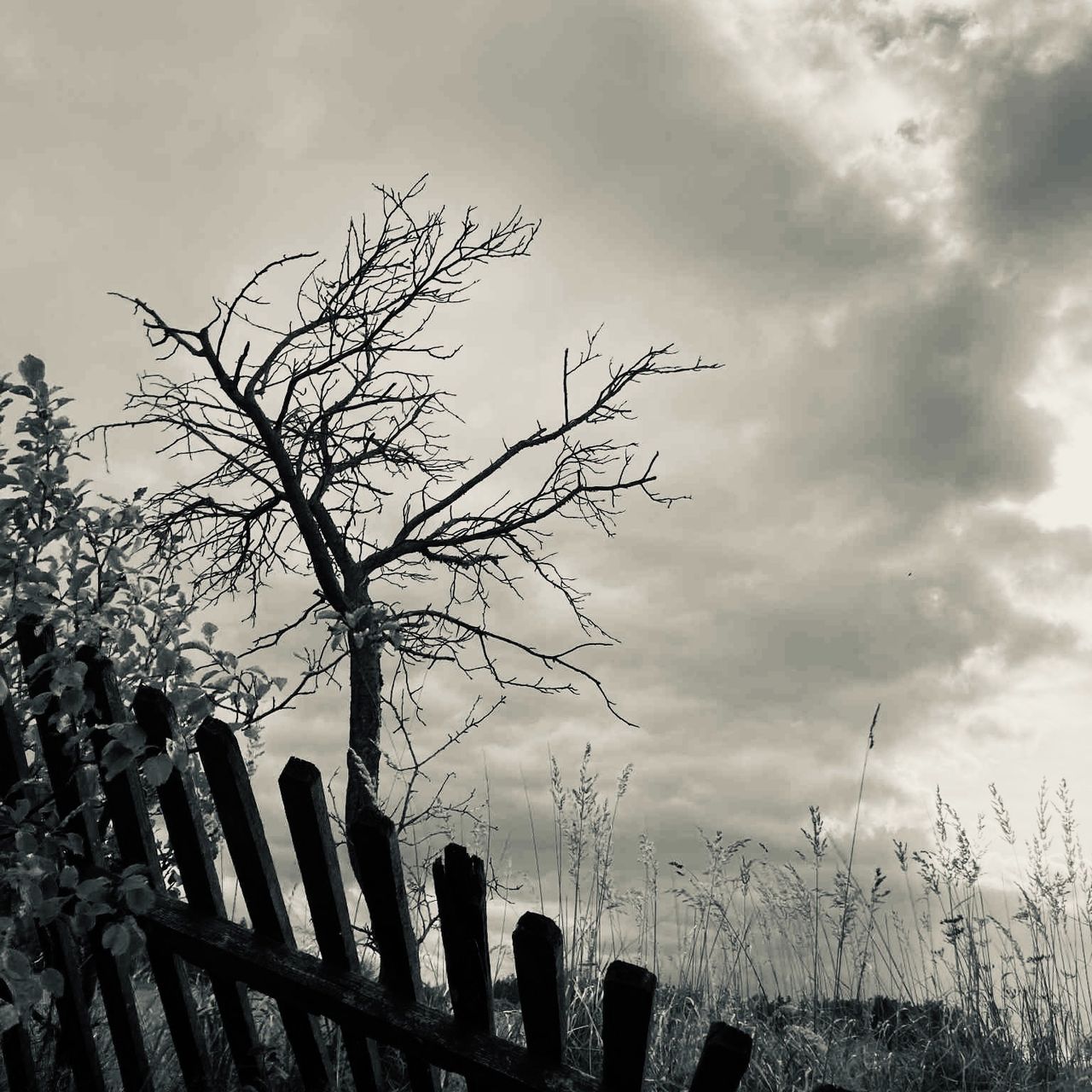 Soutěžní fotografie - Podzim,  Jelenice okr Vítkov