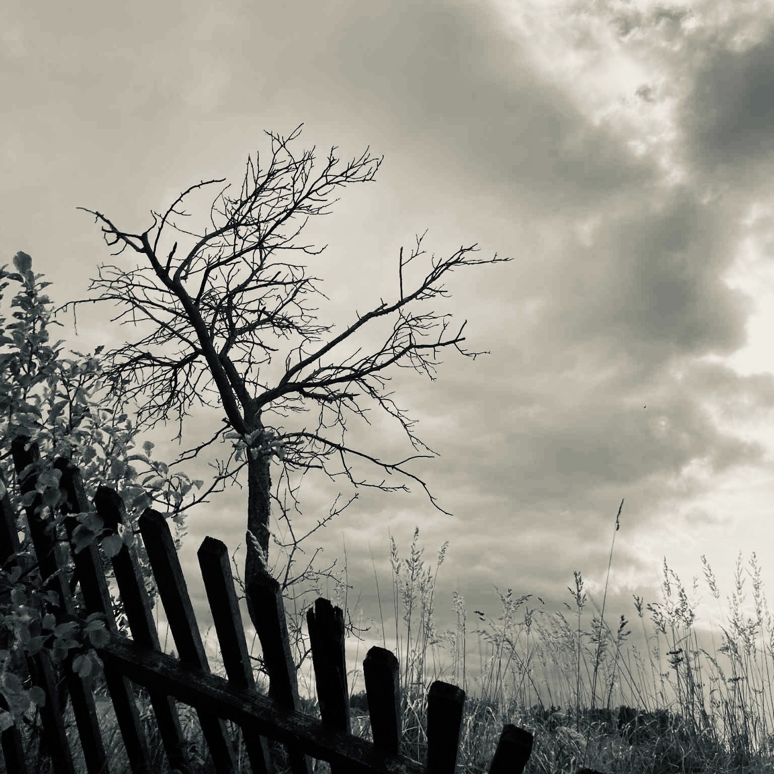 Soutěžní fotografie - Podzim,  Jelenice okr Vítkov