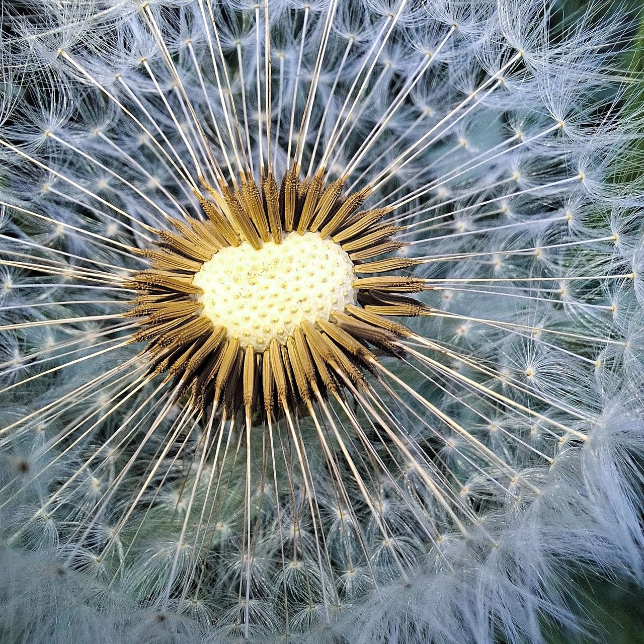 Soutěžní fotografie - Okamžik loučení, který dává život novým,  Rychnovek