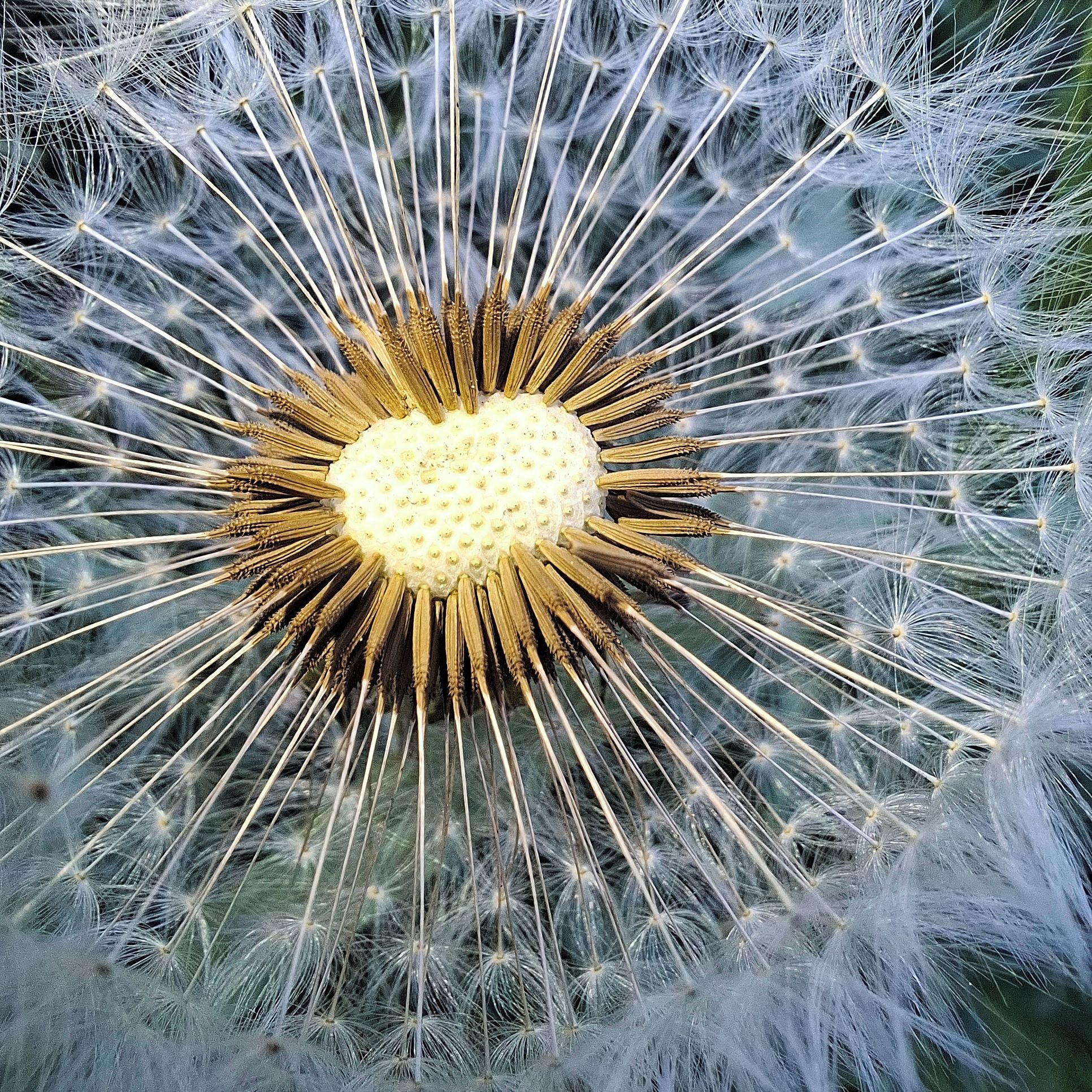 Soutěžní fotografie - Okamžik loučení, který dává život novým,  Rychnovek