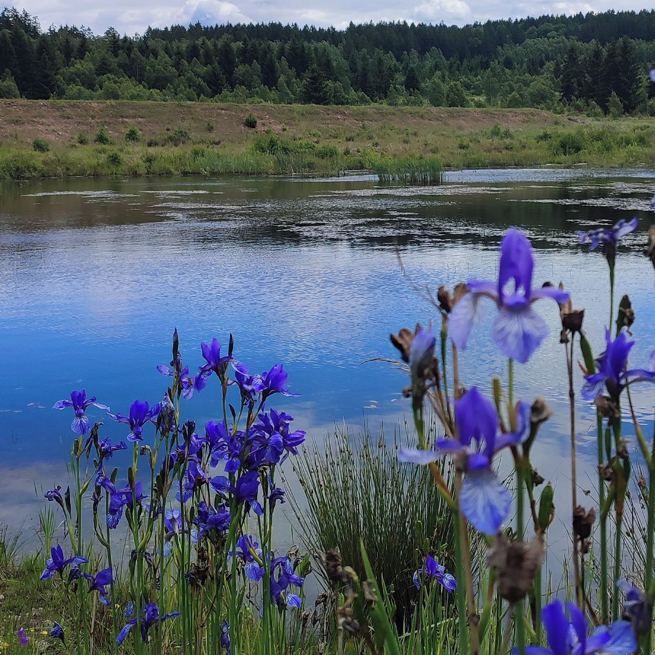 Soutěžní fotografie - Brdy nejsou prdy,  Brdy