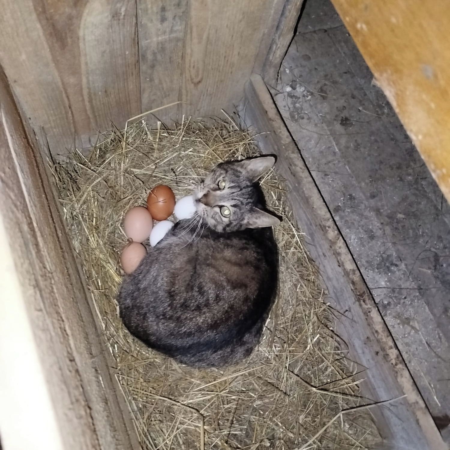 Soutěžní fotografie - Já ty děti zkrátka chci,  Veletiny