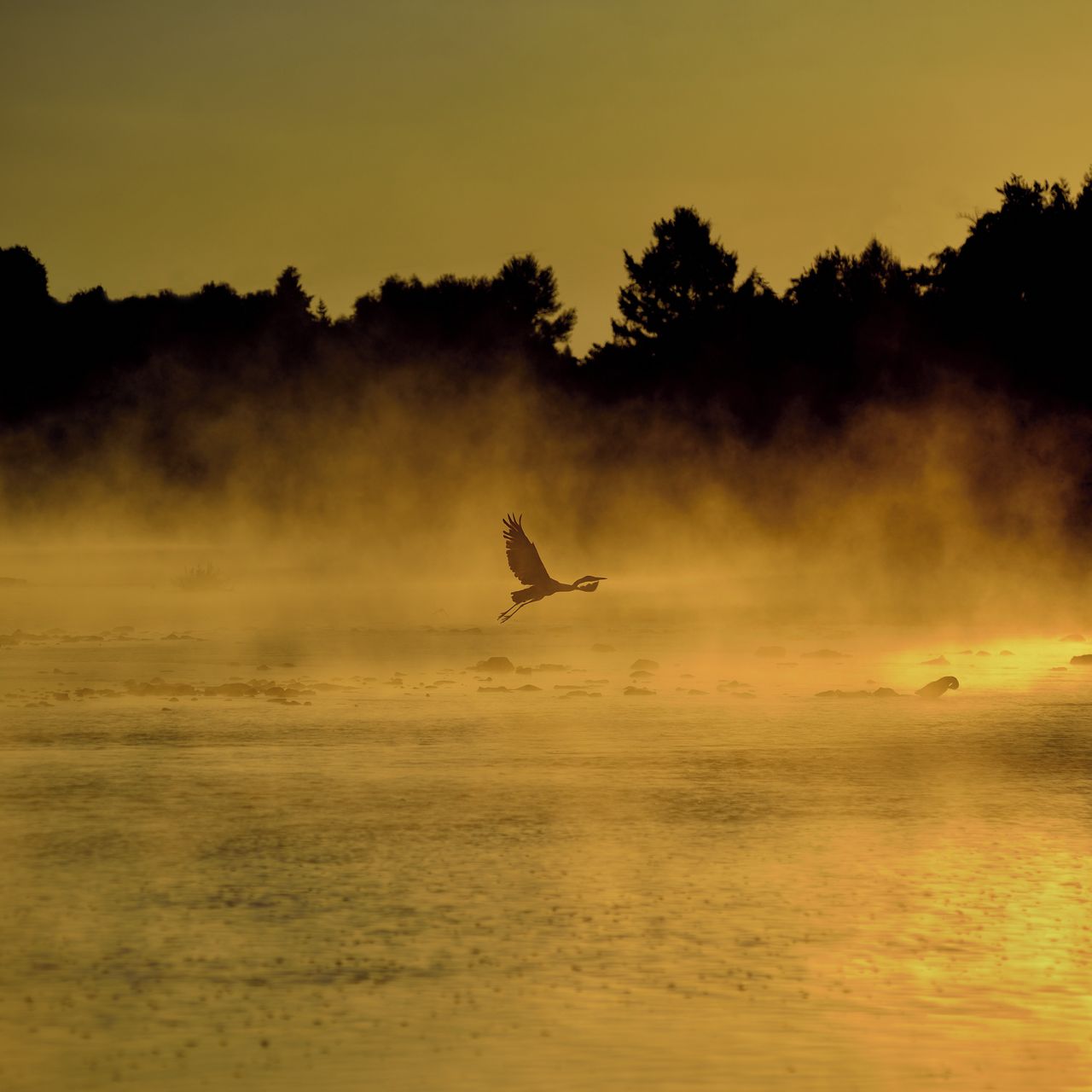 Soutěžní fotografie - Ráno u Berounky,  Berounka, Středočeský kraj