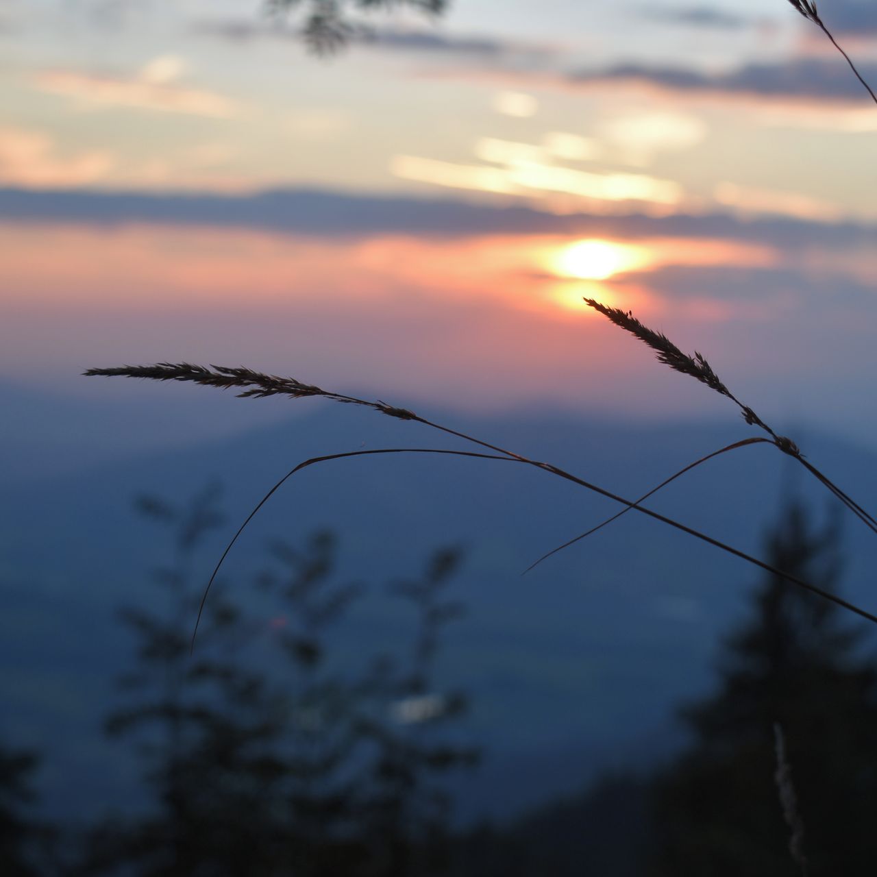 Soutěžní fotografie - Dobrou noc, Beskydy,  pod Lysou horou