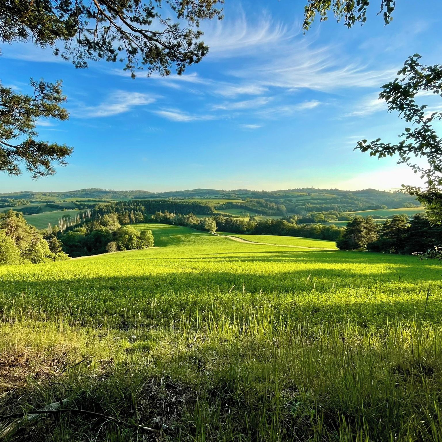 Soutěžní fotografie - To není země, ale zahrádka,  Petrov okr. Blansko