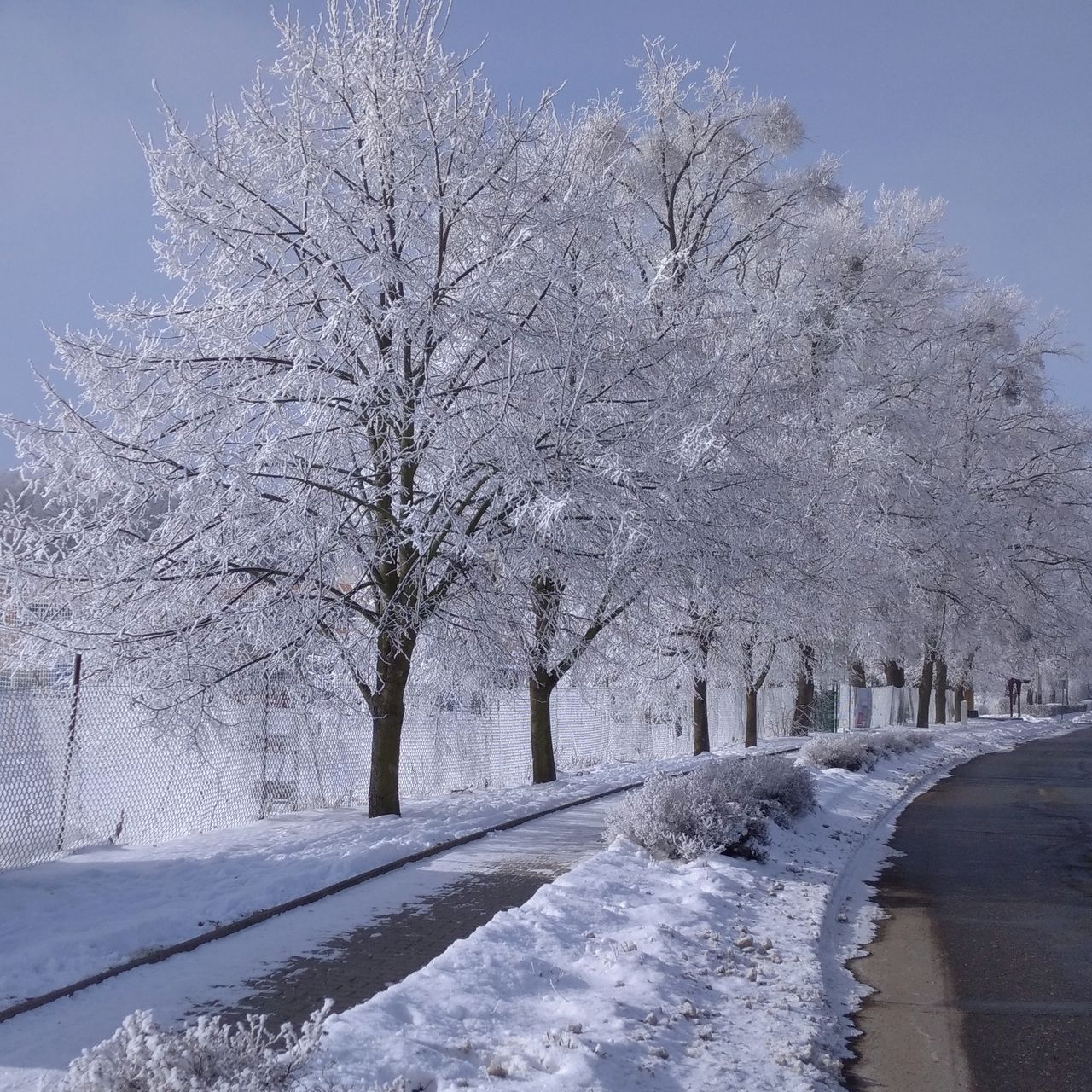 Soutěžní fotografie - Mrzne až praští,  Choltice okres Pardubice