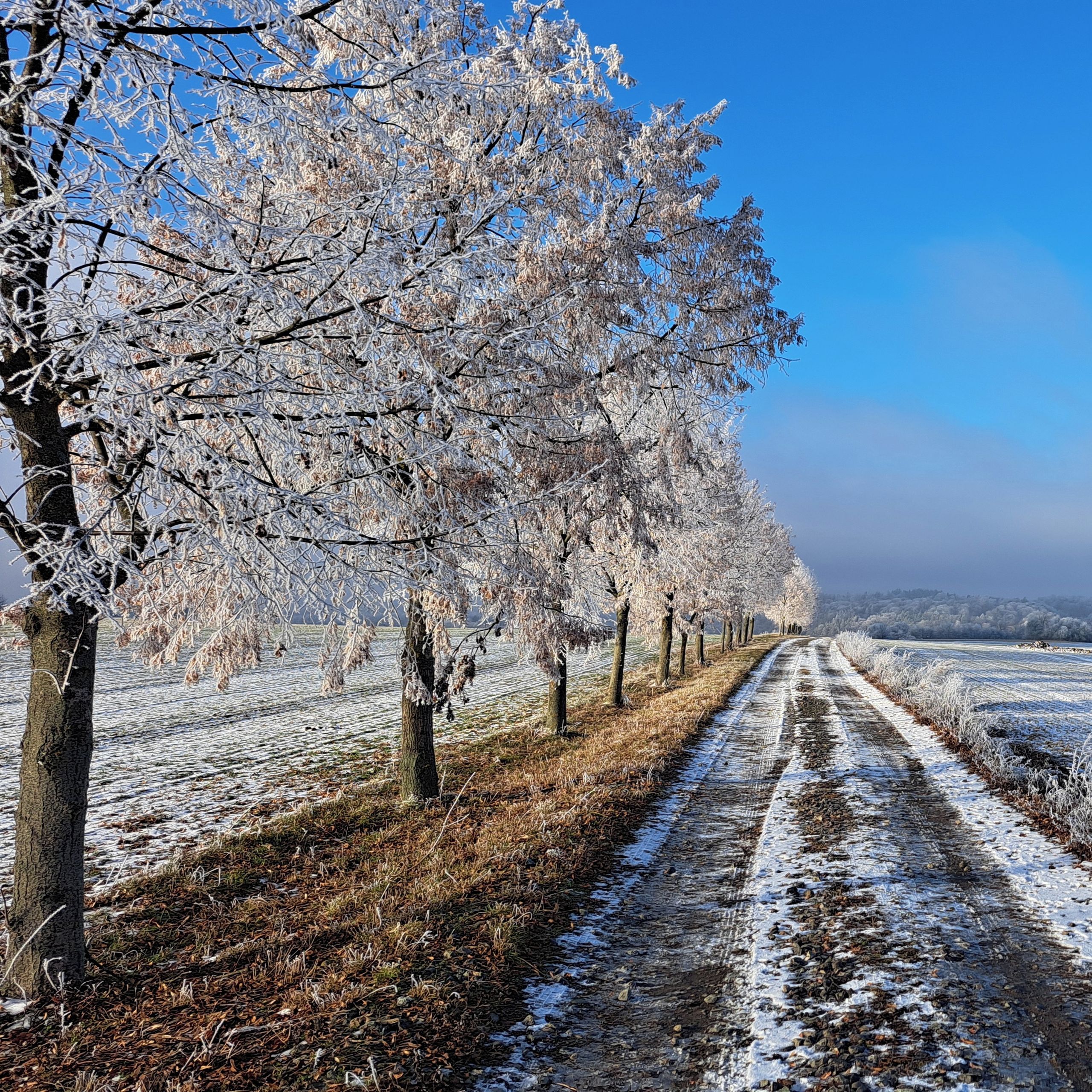 Soutěžní fotografie - Kouzelný zimní podvečer,  Rudice, okres Blansko