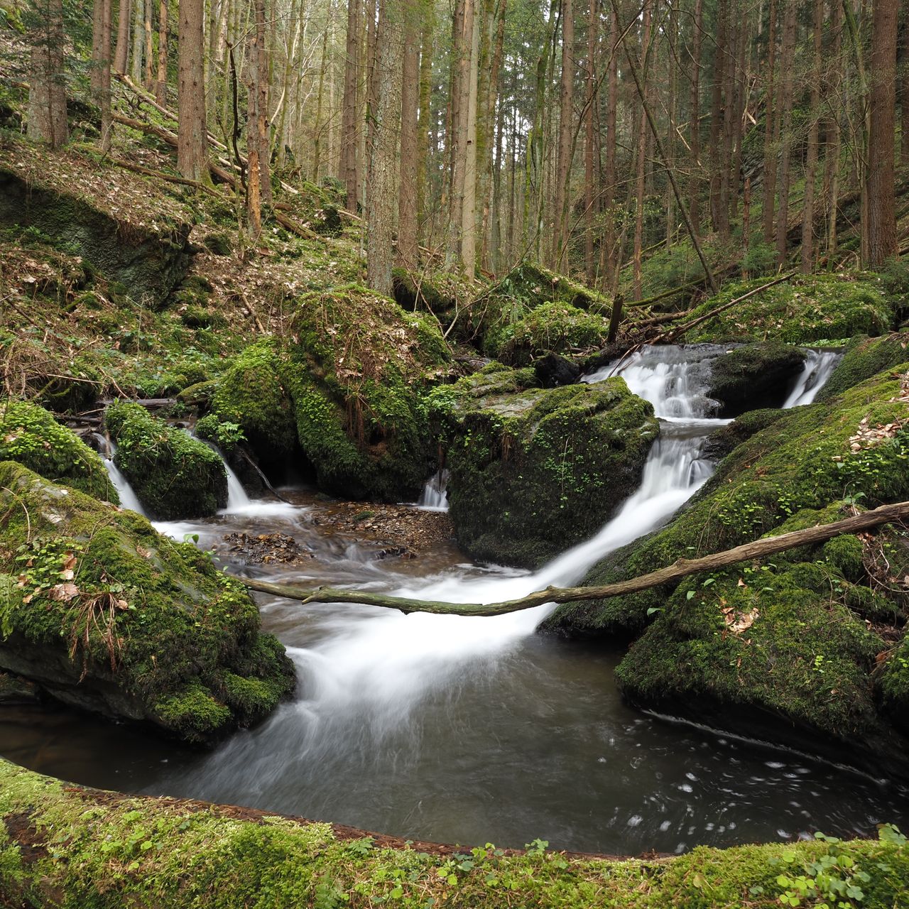 Soutěžní fotografie - Peřeje na potoce Zlatník,  Návarov, Liberecký kraj