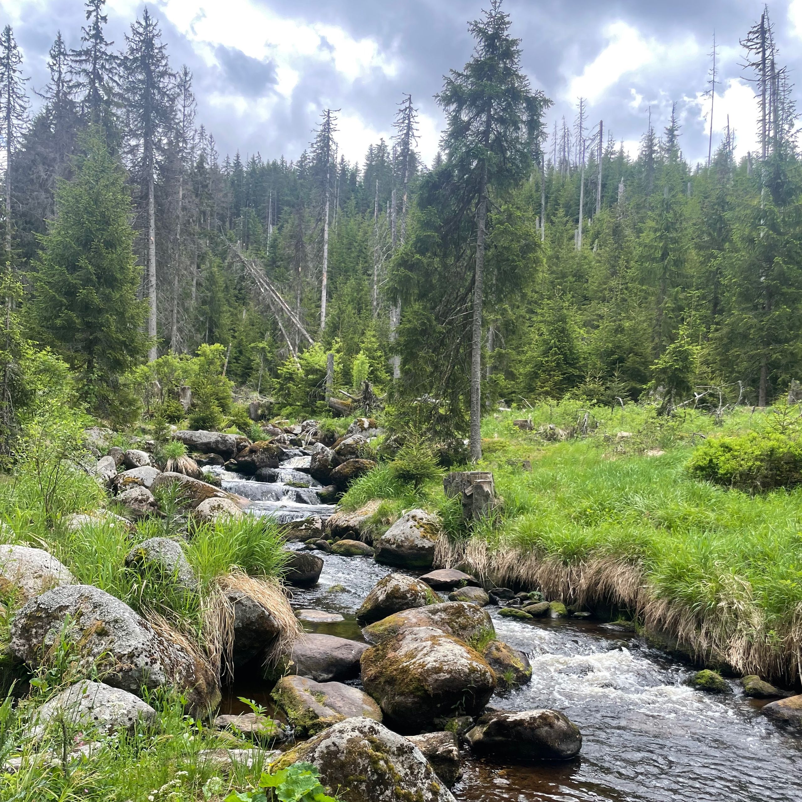Soutěžní fotografie - Krása Šumavy,  Hamerský potok , Šumava