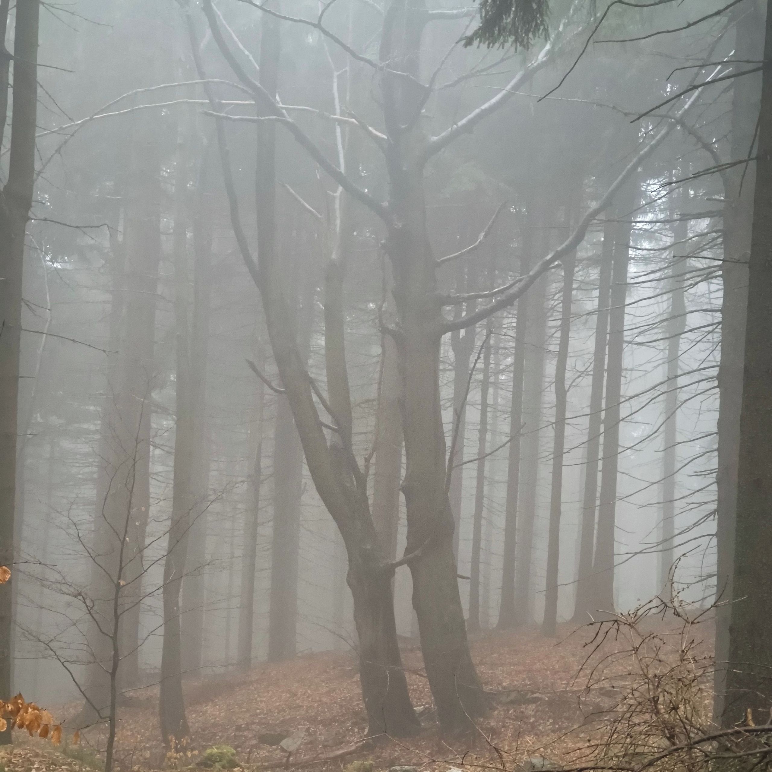 Soutěžní fotografie - Navždy spolu,  Liberec