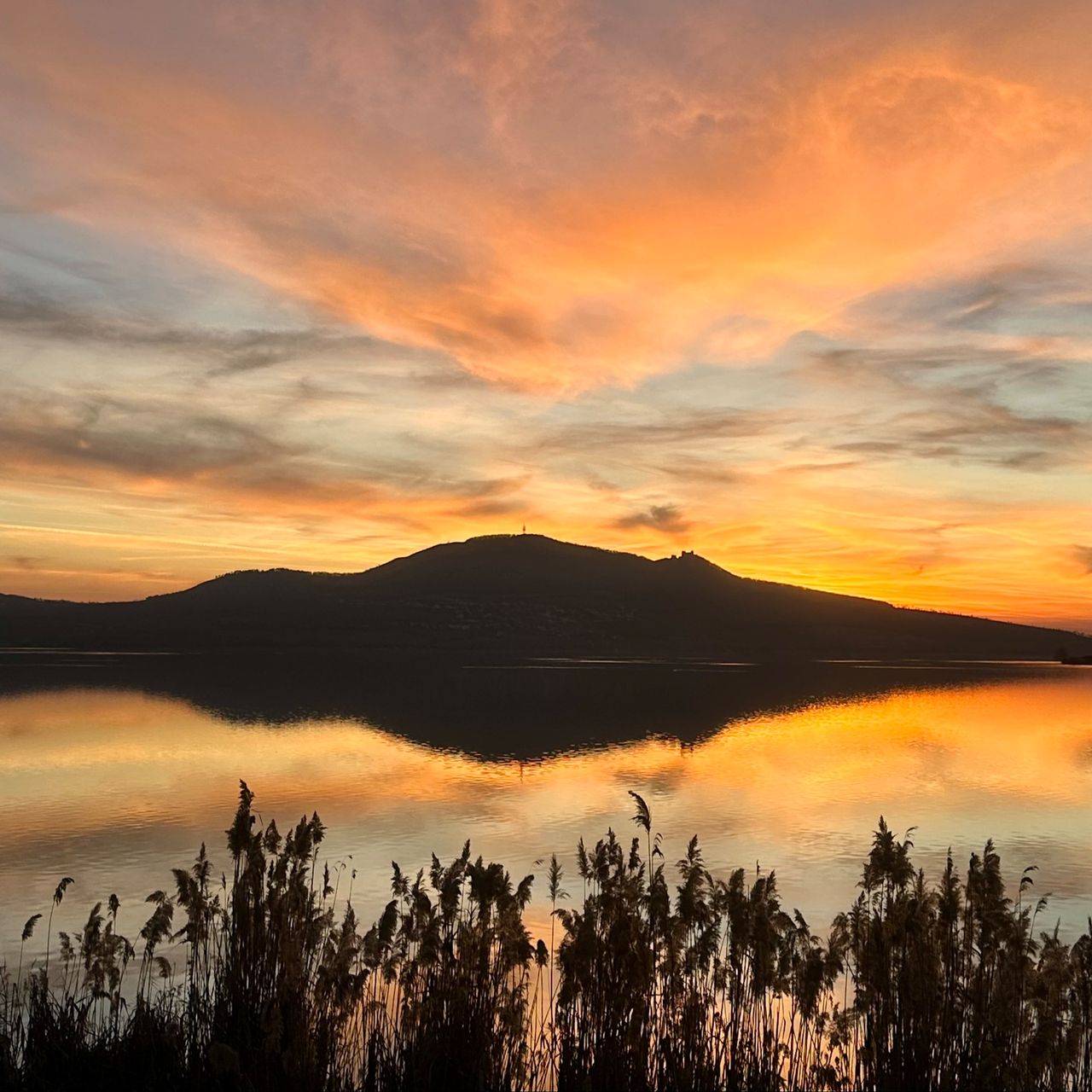 Soutěžní fotografie - Prostě Pálava,  Šakvice