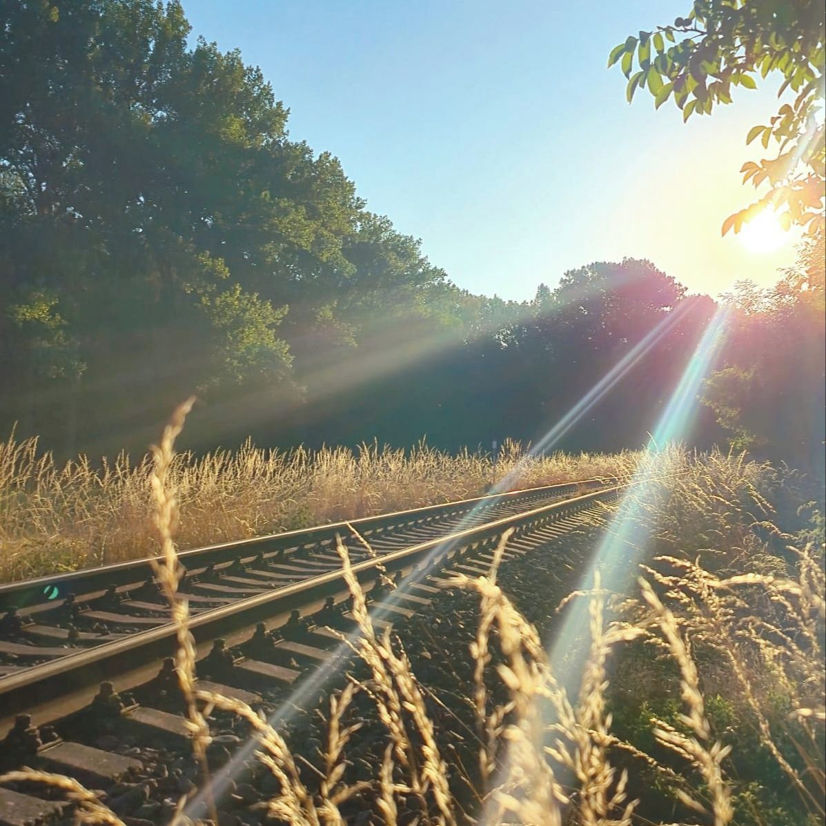 Soutěžní fotografie - Krása přírody,  Lutotin