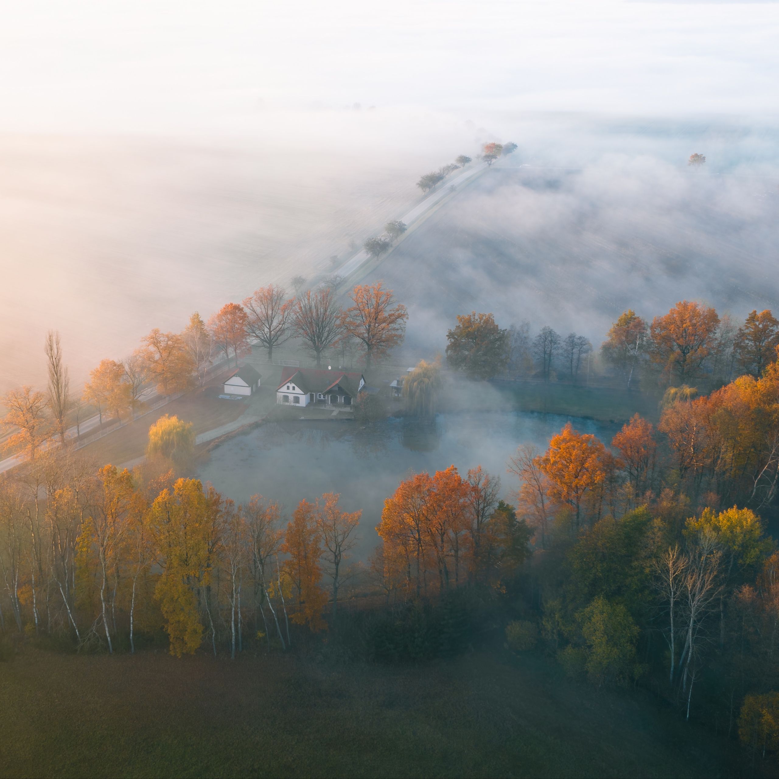Soutěžní fotografie - Západ v mlze,  Červená Lhota