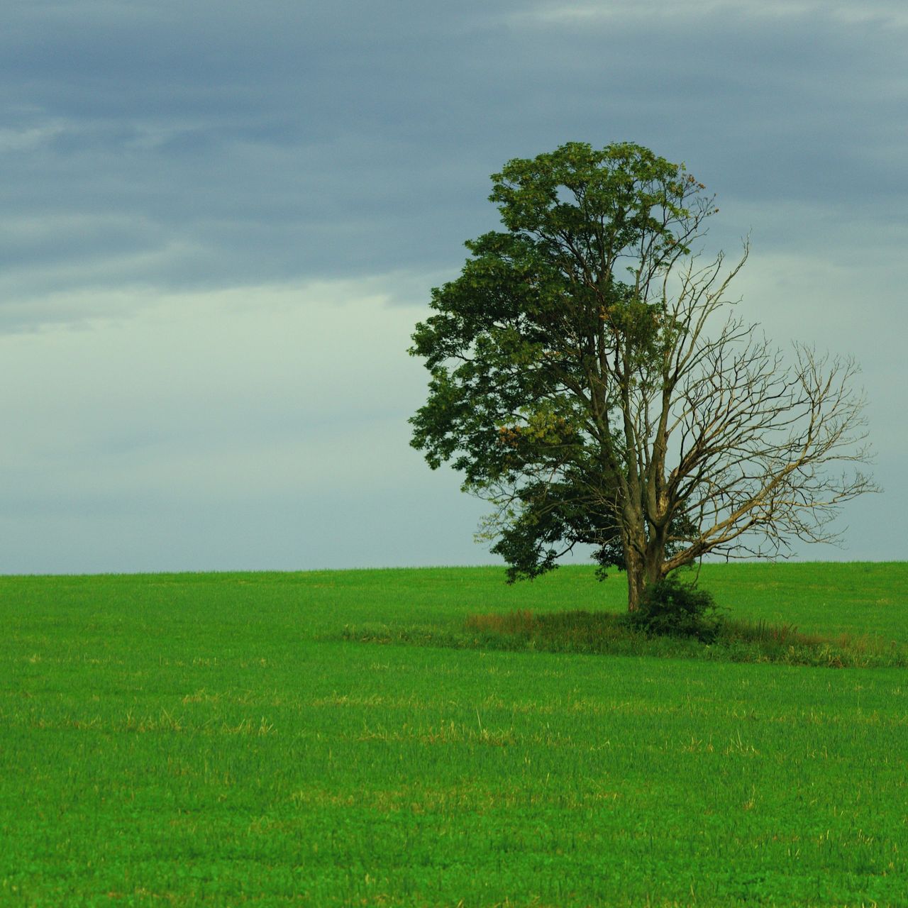 Soutěžní fotografie - Nevzdám to,  Skuhrov nad Bělou