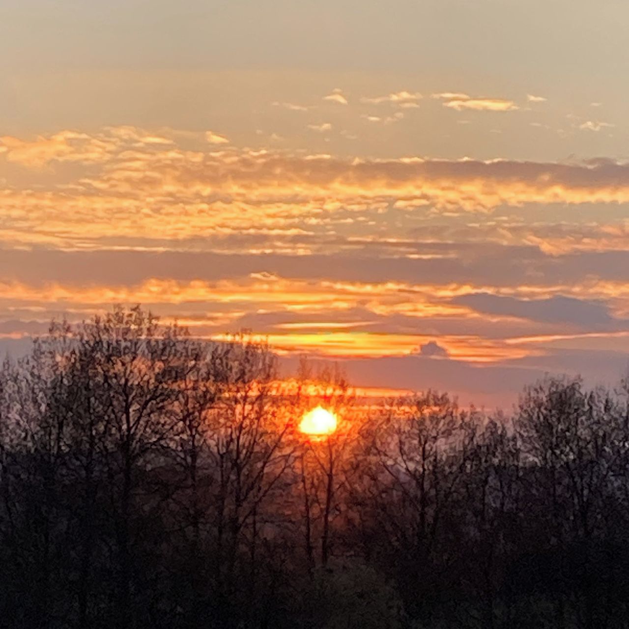 Soutěžní fotografie - Stmívání,  Novohradsko
