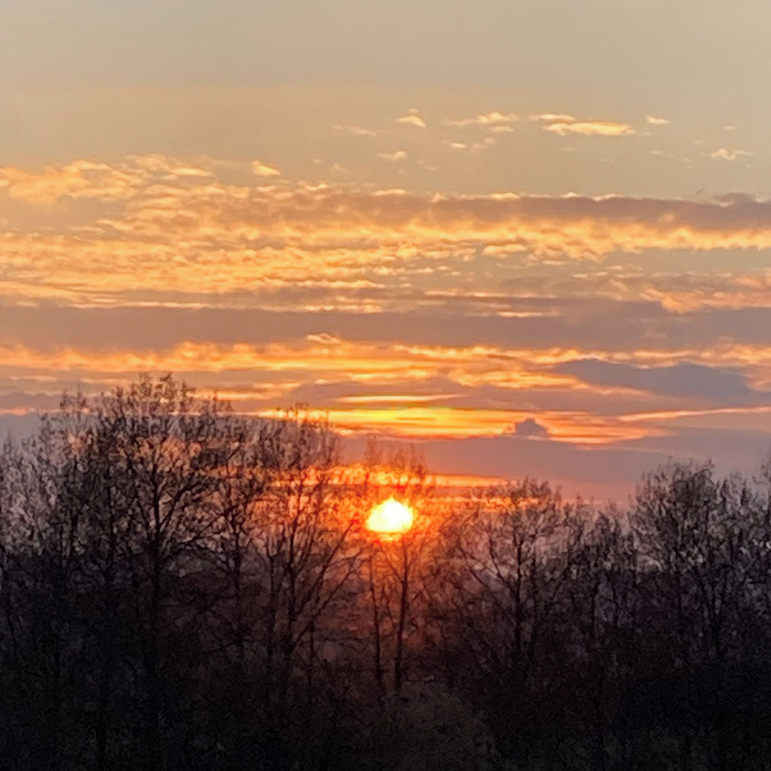 Soutěžní fotografie - Stmívání,  Novohradsko