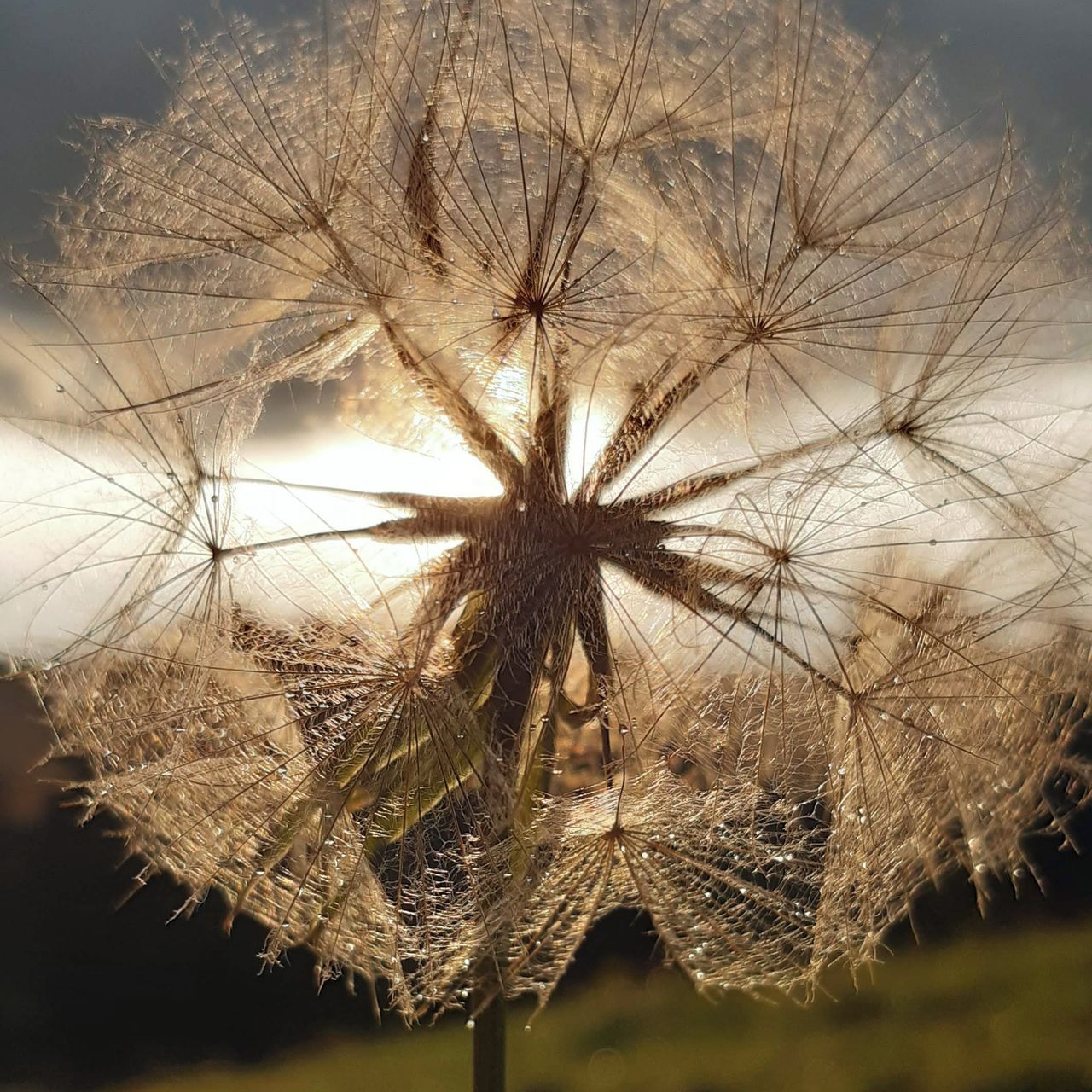 Soutěžní fotografie - Po dešti,  Hodkovice