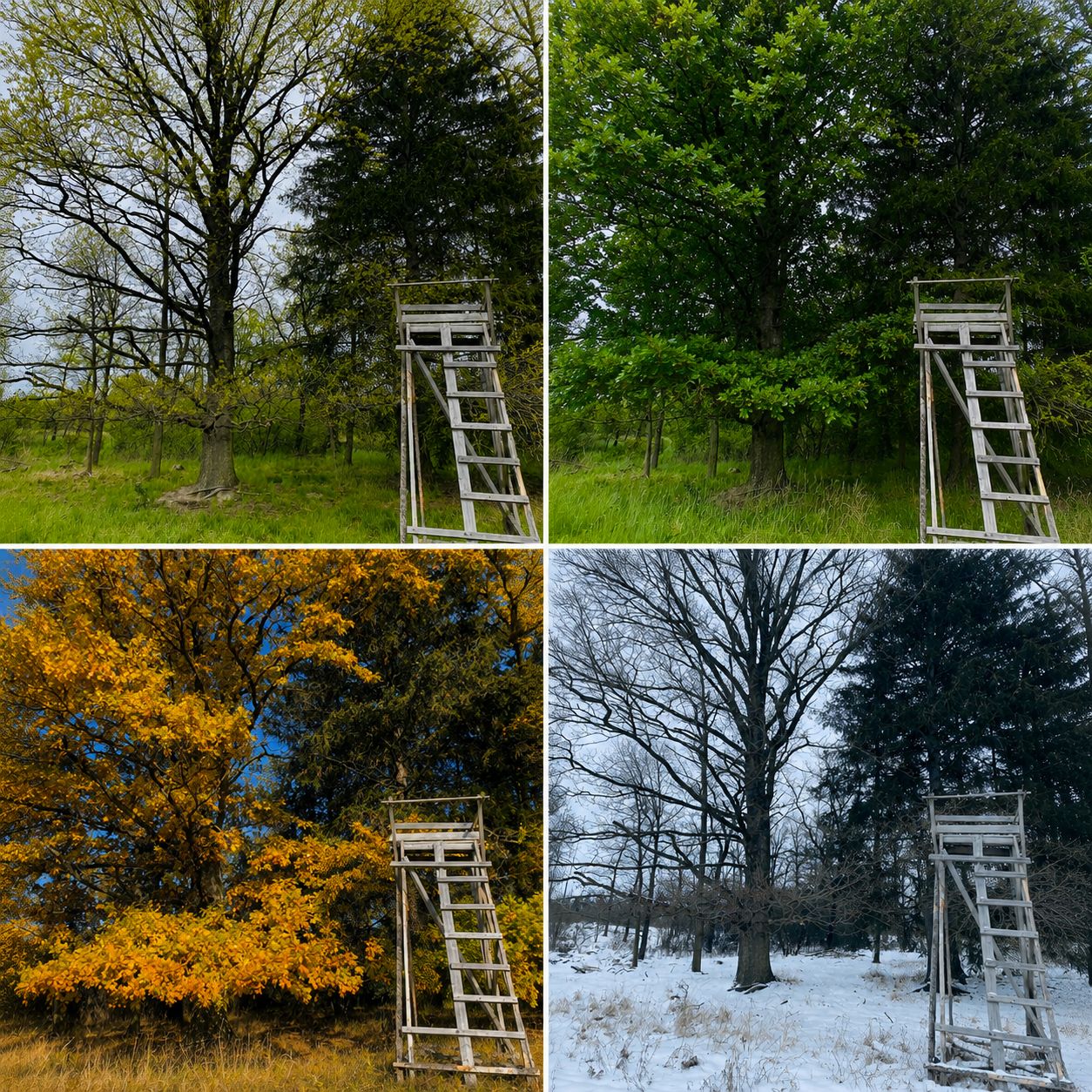 Soutěžní fotografie - Roční období,  Stredocesky kraj