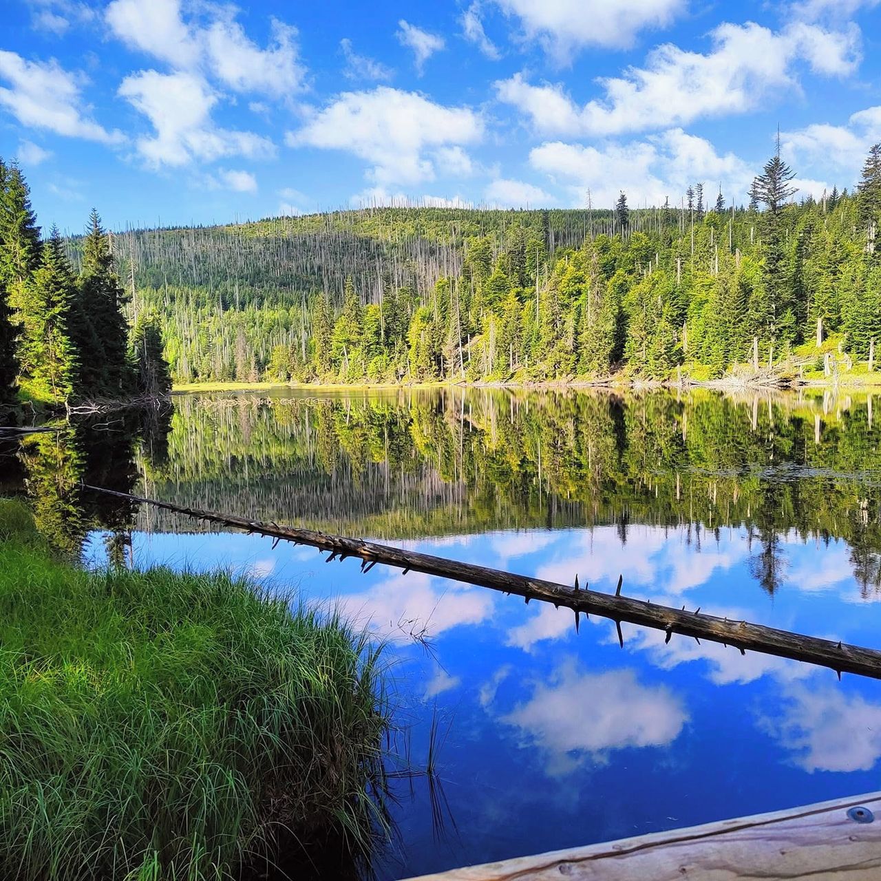 Soutěžní fotografie - Zrcadlo nebes,  Jezero Laka, Šumava