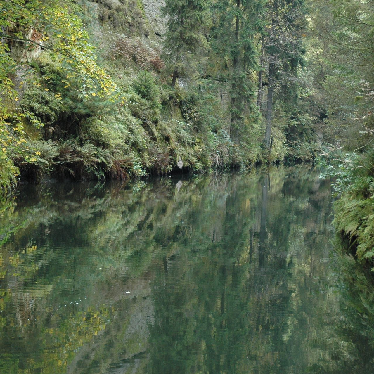 Soutěžní fotografie - Divoká soutěska,  Hřensko